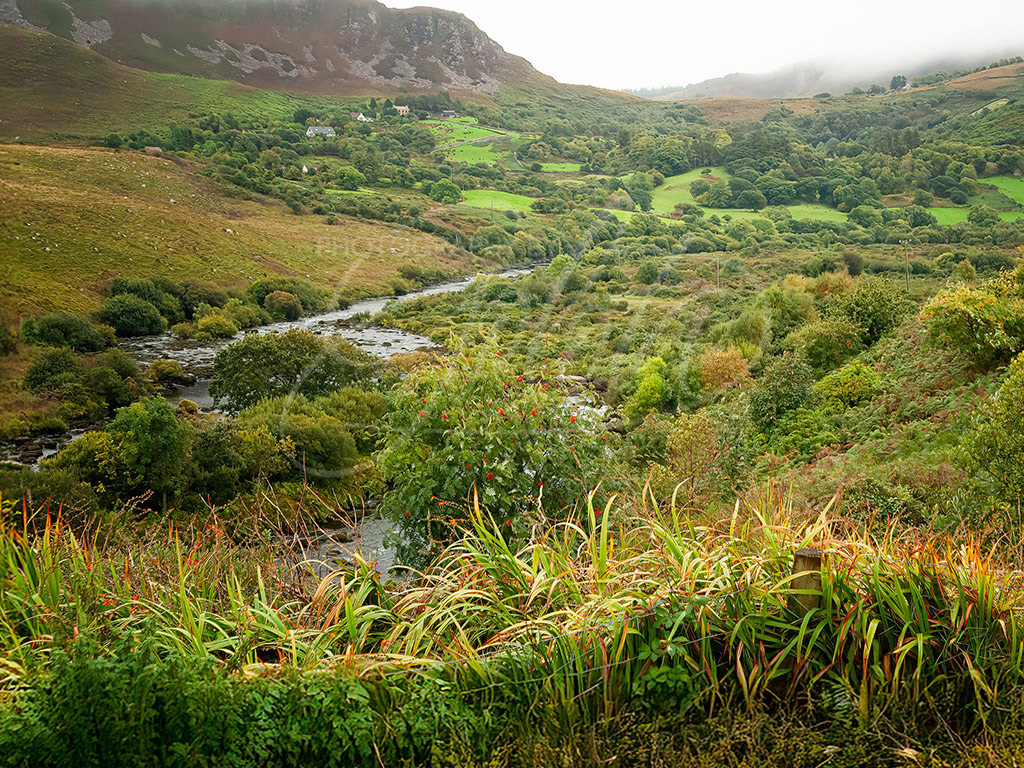 Sneem Stream