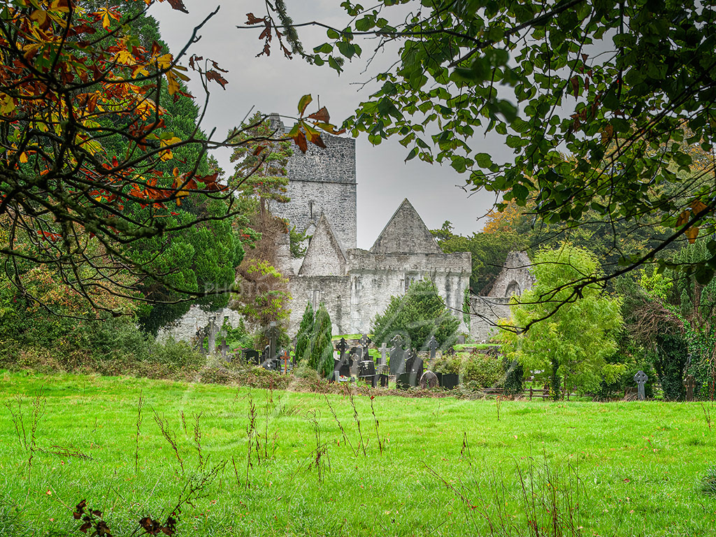 Muckross Abbey
