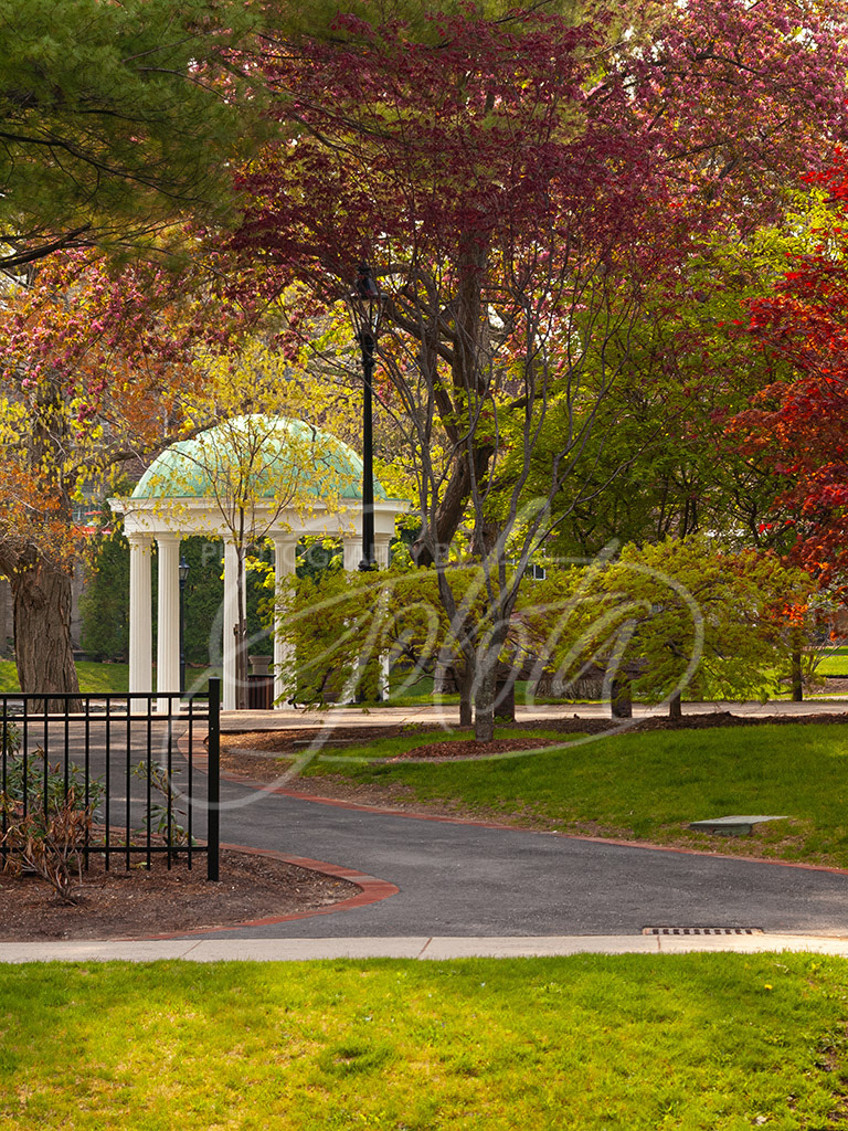 Spring Metcalf Columns
