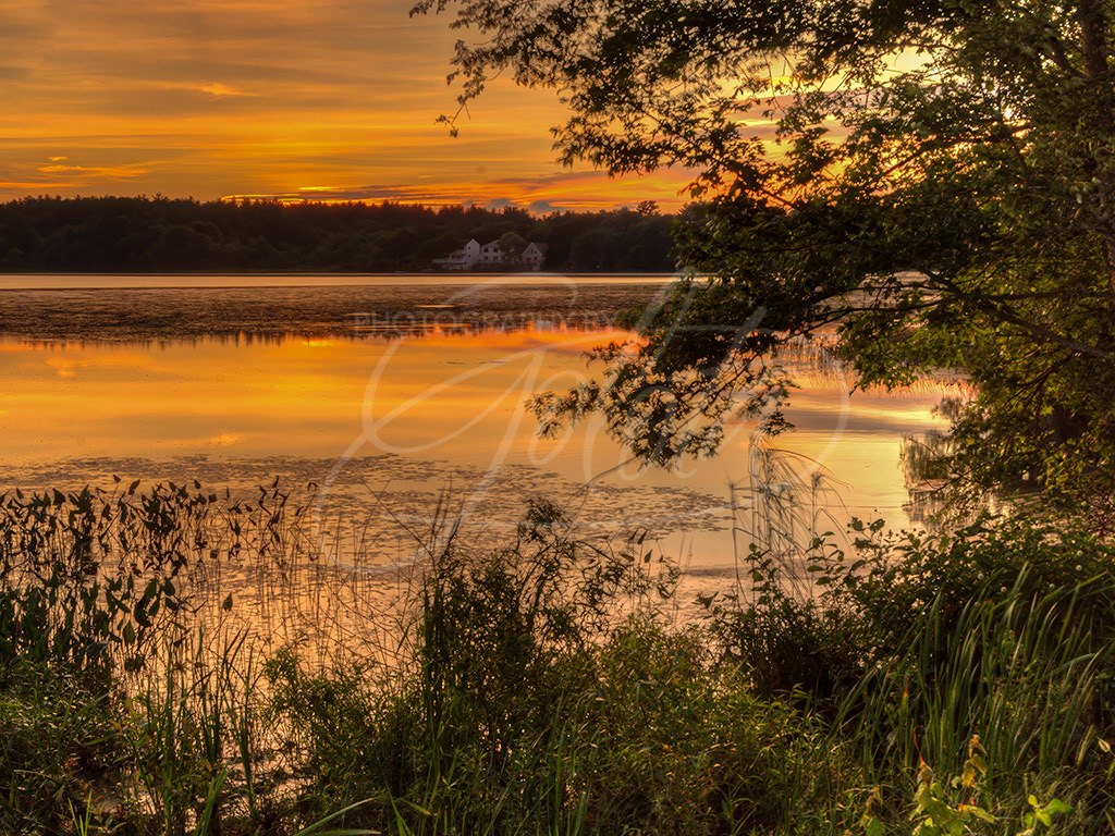 Old Silver Beach Solitude