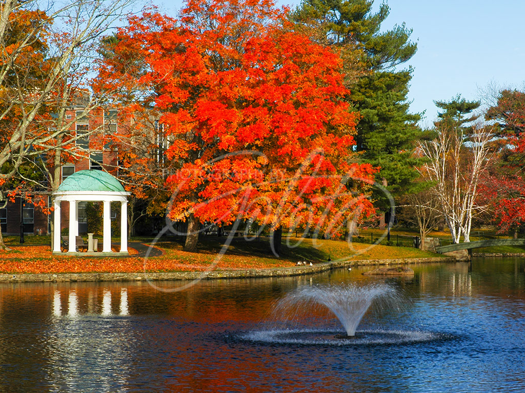 Wheaton College