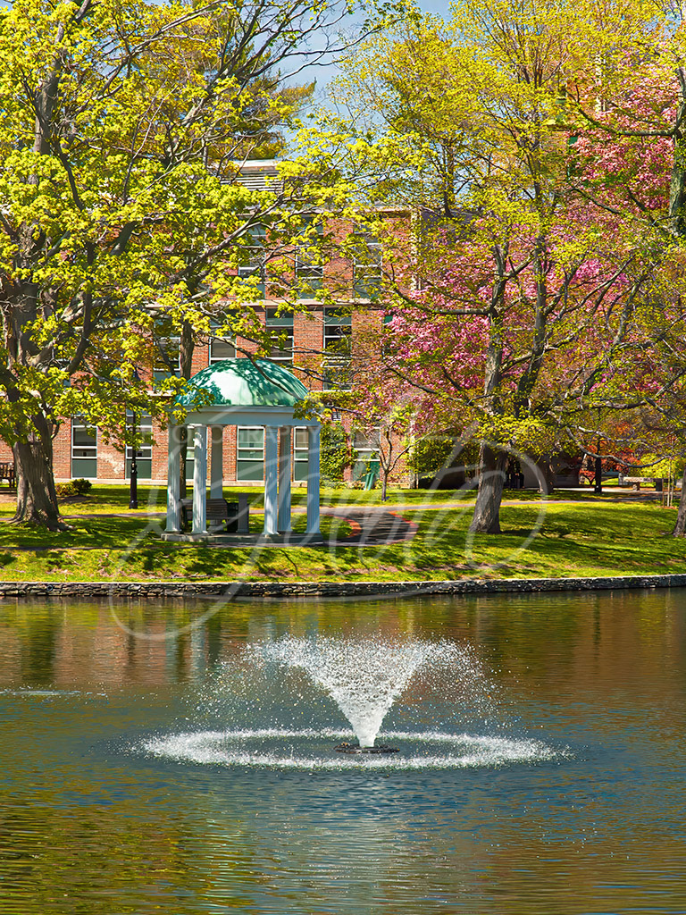 Spring Metcalf Columns