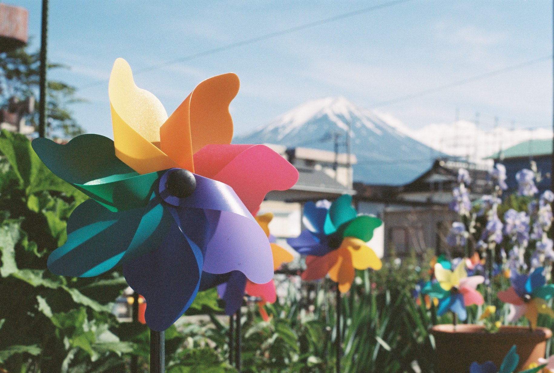 Picture used for the poster