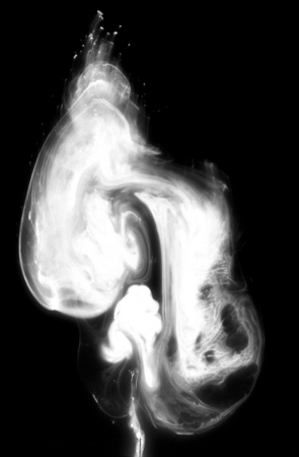Transient Form 3/3 Tryptich Ceallaigh Norman, (NEW ZEALAND)