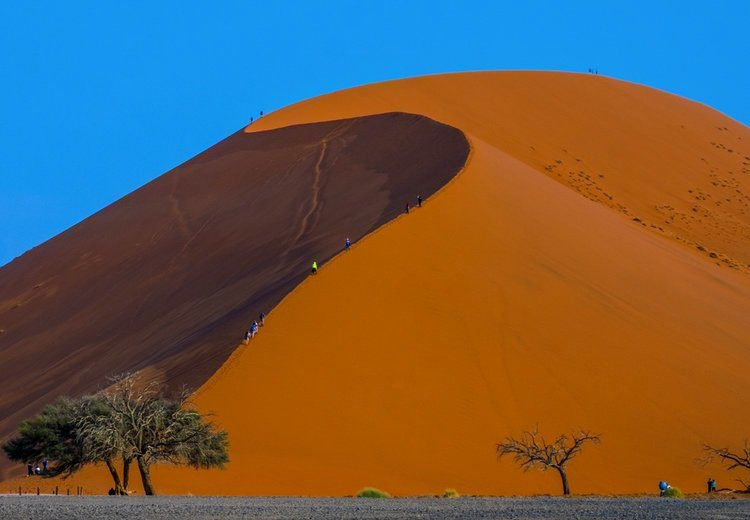 Dune 45 Catherine de Boer, 2 limited edition prints