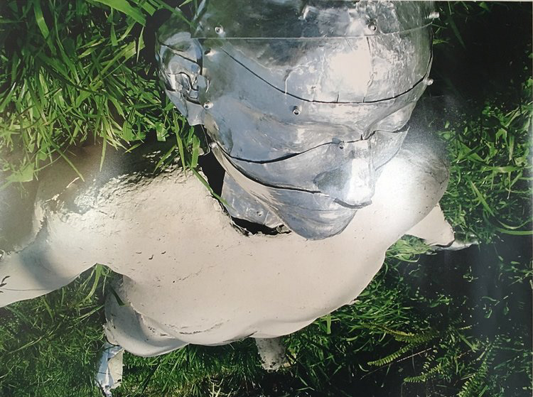 Untitled Rebecca Pohlner