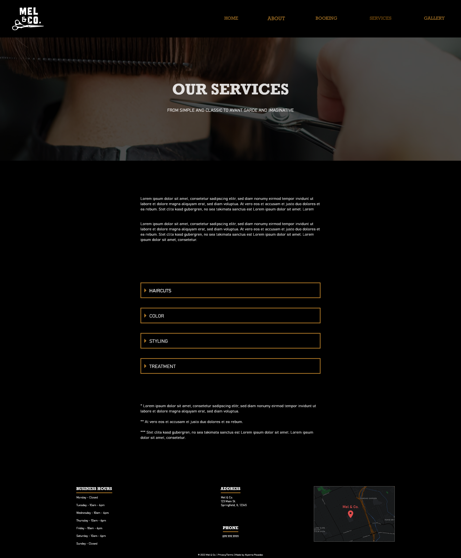 "Services" page