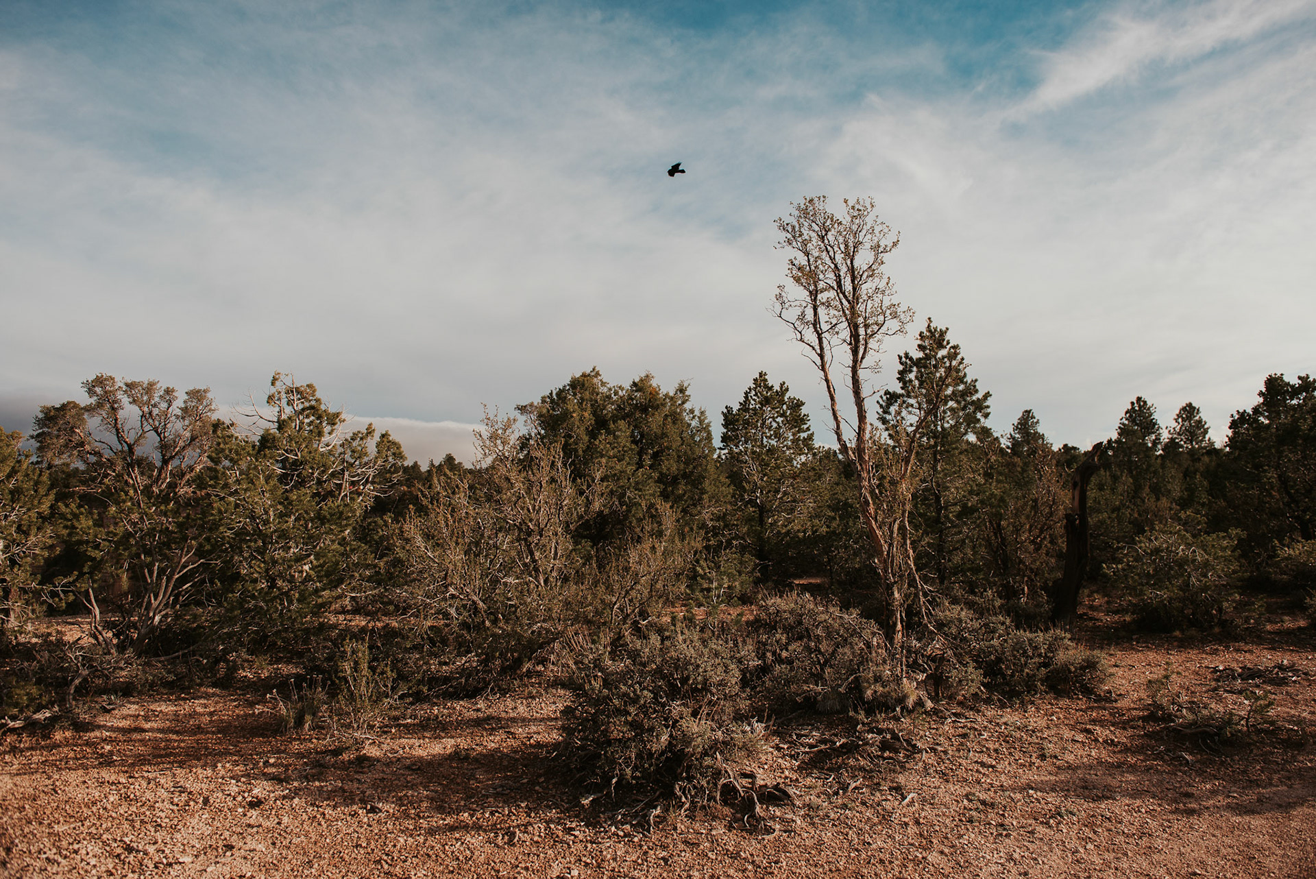 Grand Canyon National Park, AZ