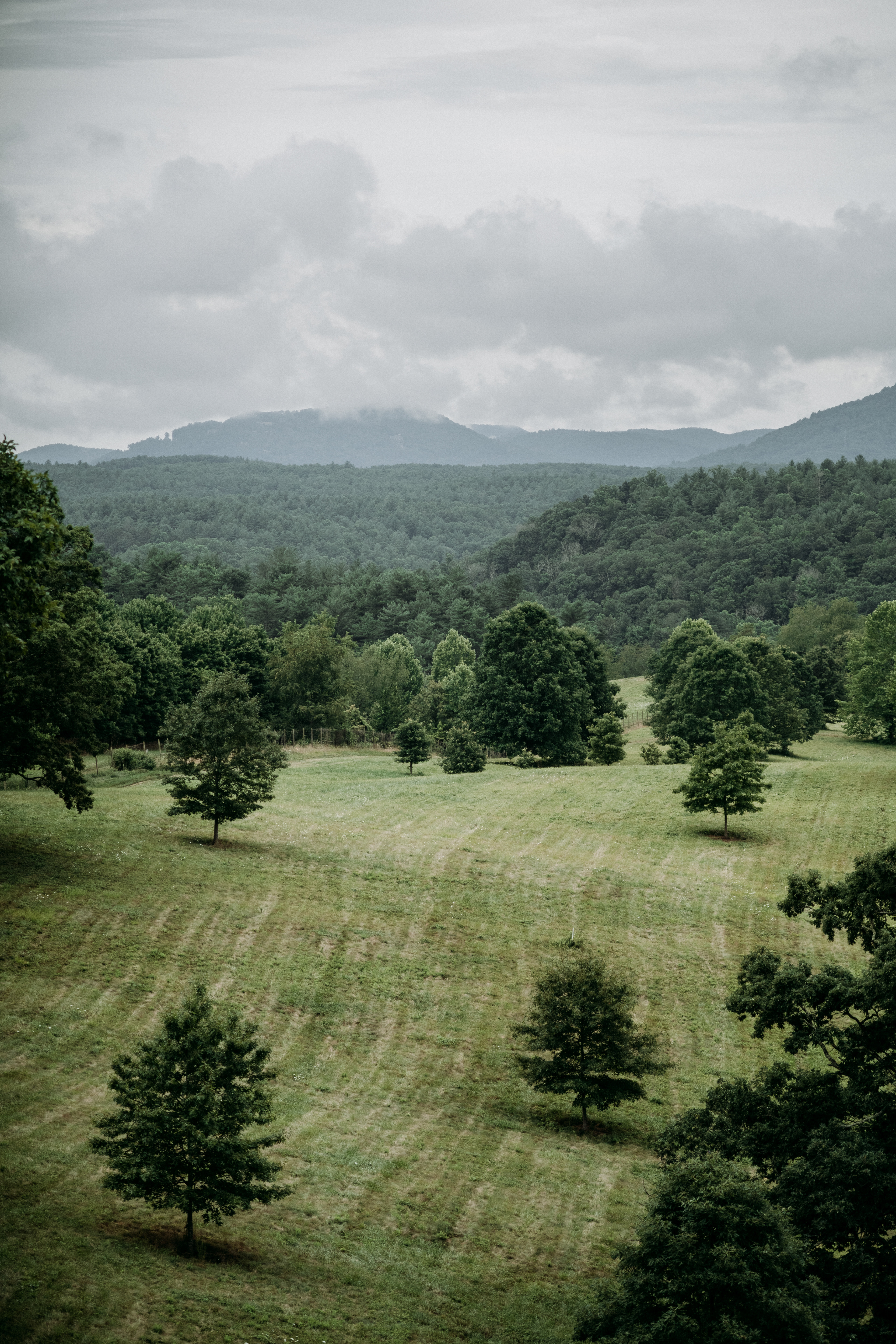 Biltmore Estate, Asheville, NC