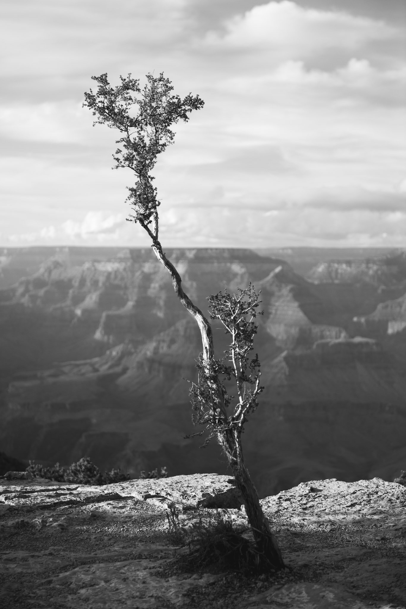 Grand Canyon National Park, AZ