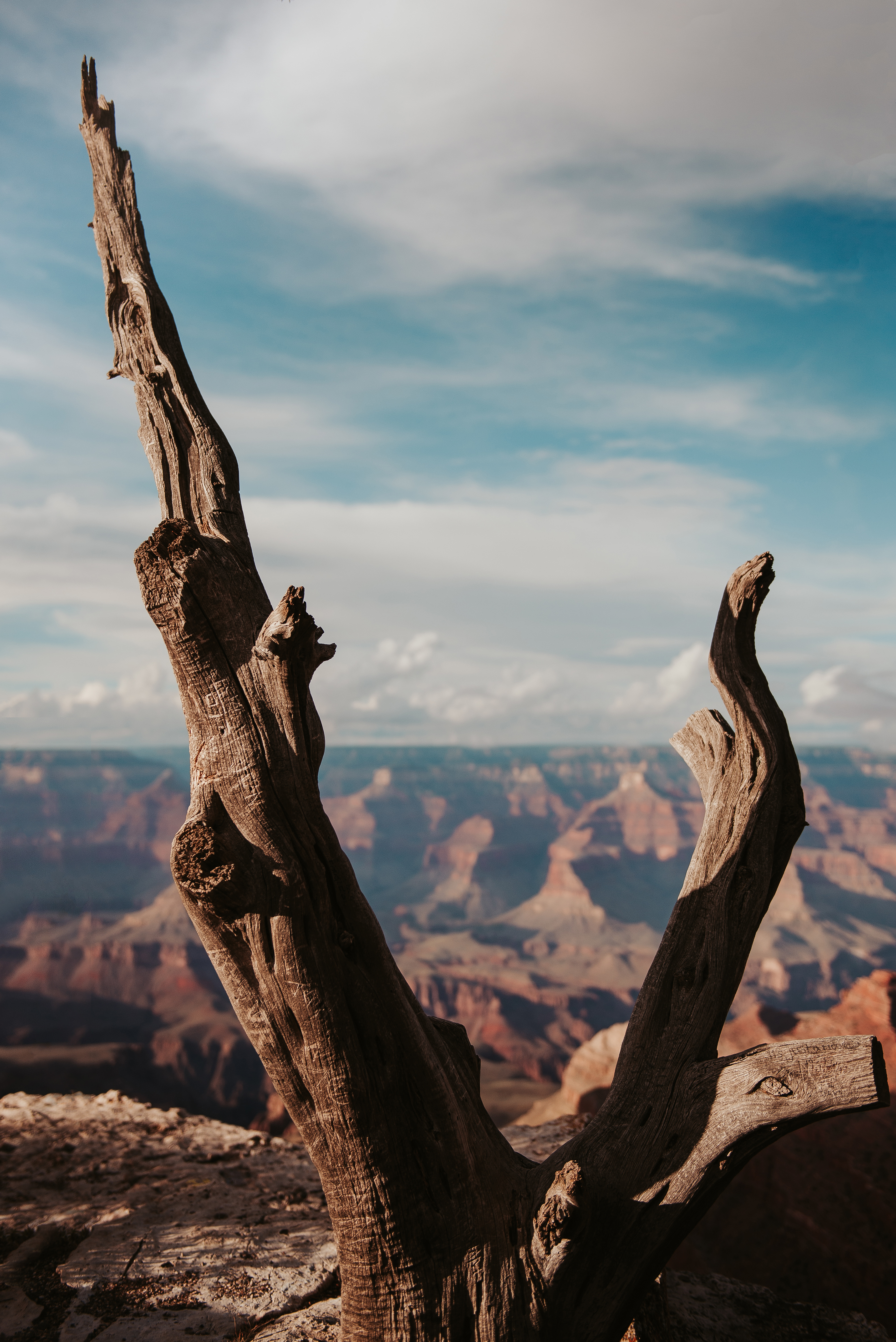 Grand Canyon National Park, AZ