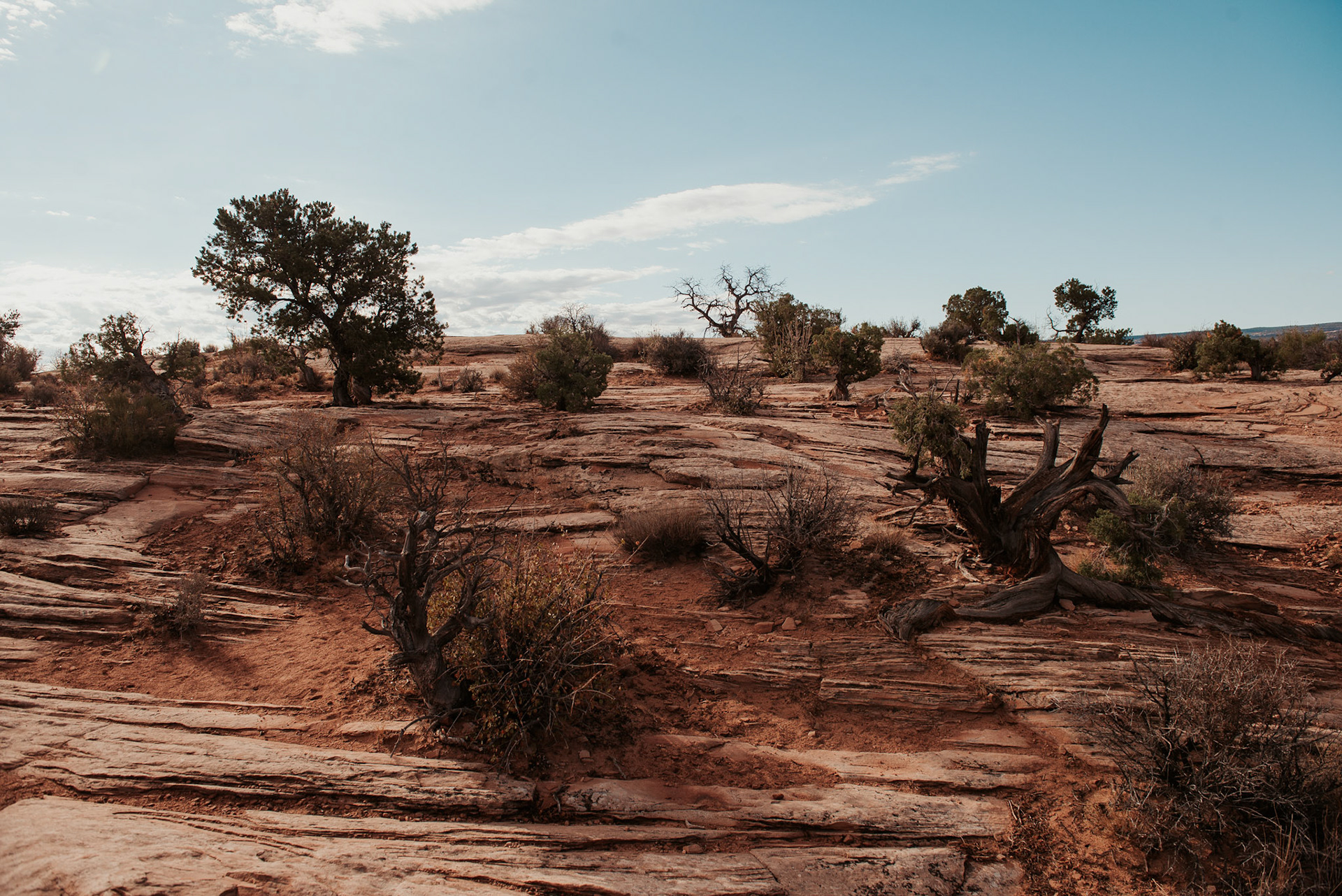Canyonlands National Park, UT