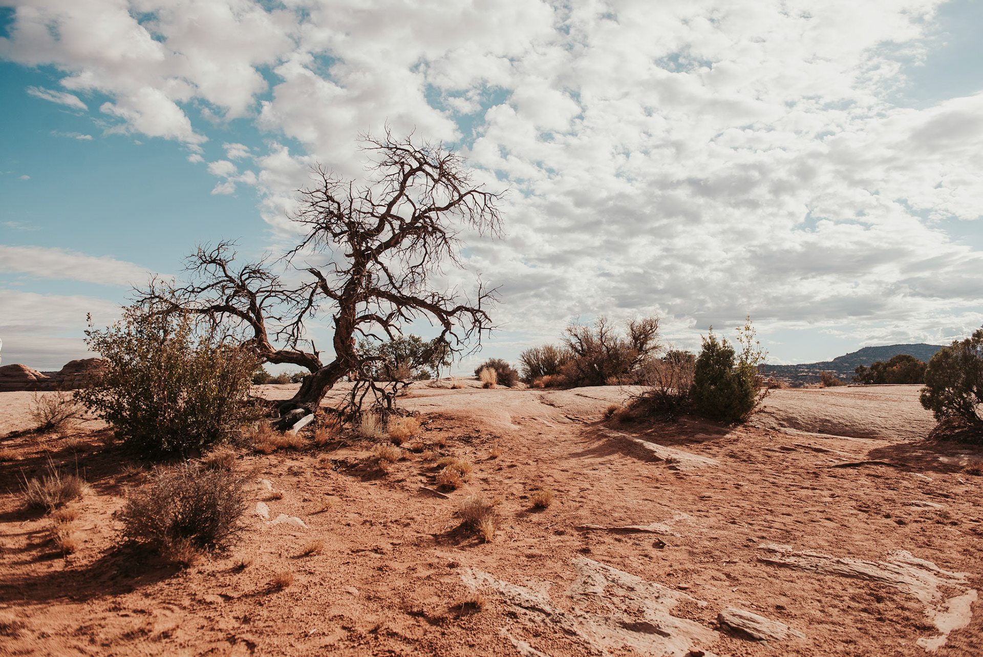 Canyonlands National Park, UT