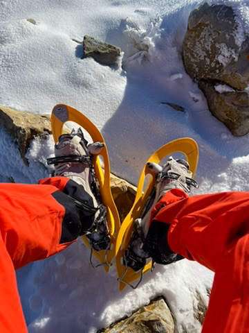 Journée de la Luge