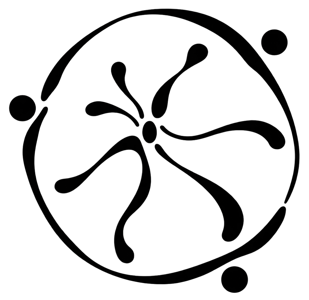 DANYAL-SOOKOOL-BRAND-LOGO