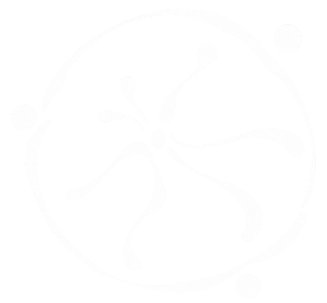 DANYAL-SOOKOOL-BRAND-LOGO