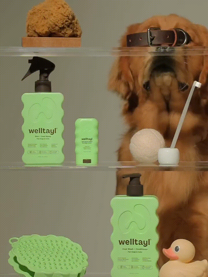 Welltayl Launch