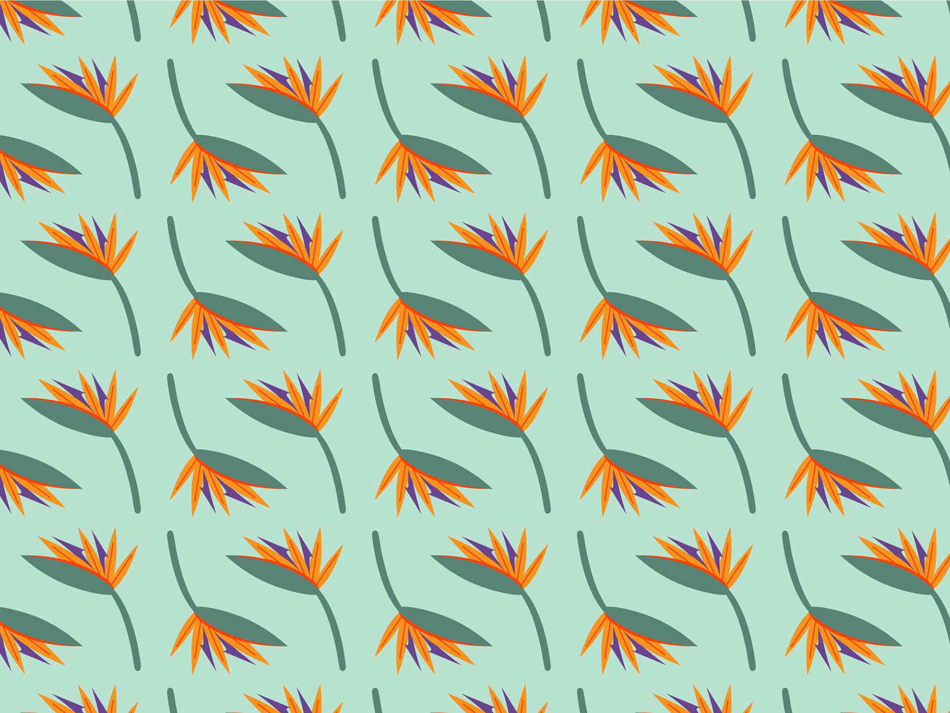 Blooming Birds