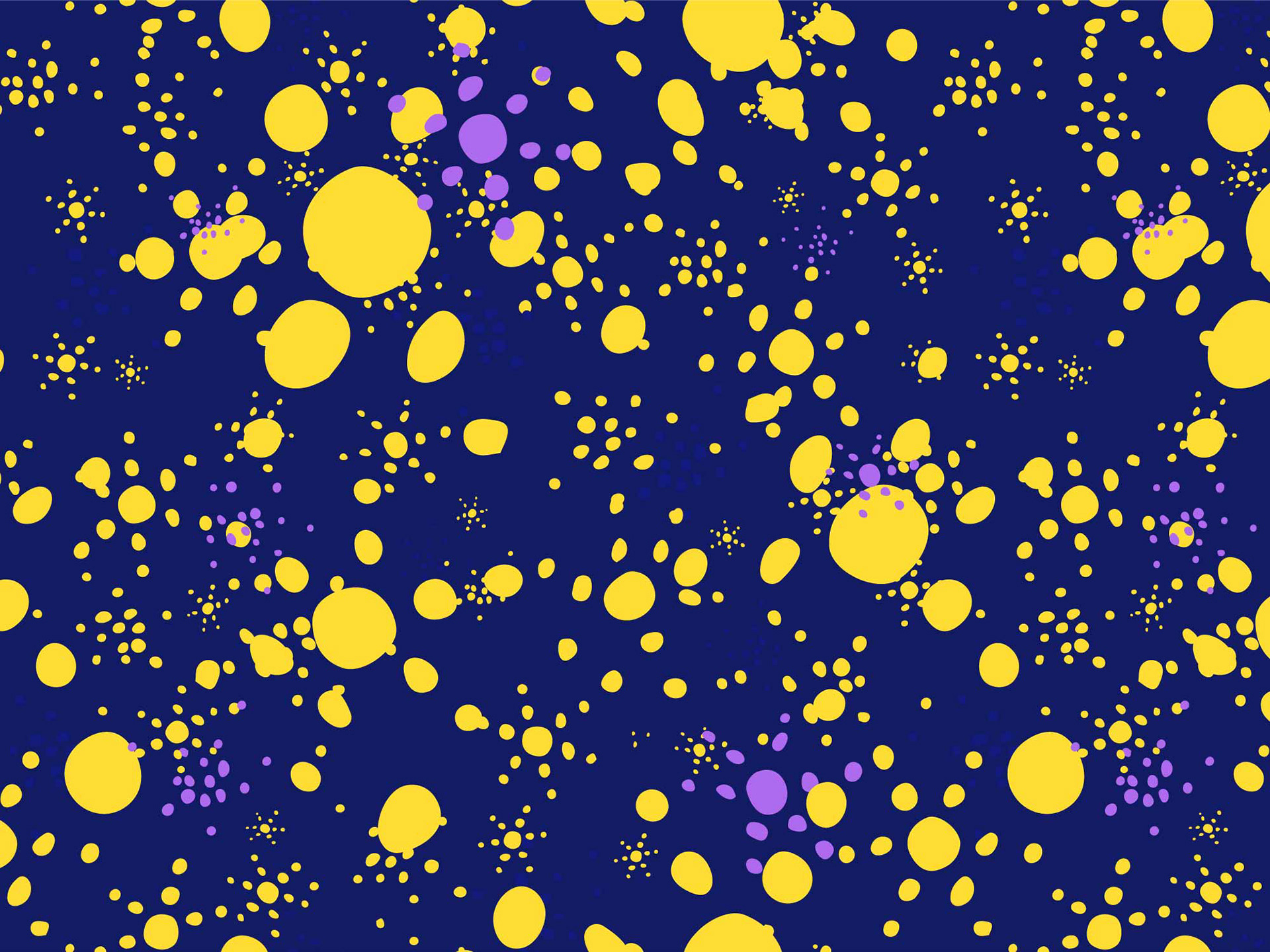 Cosmic Nights