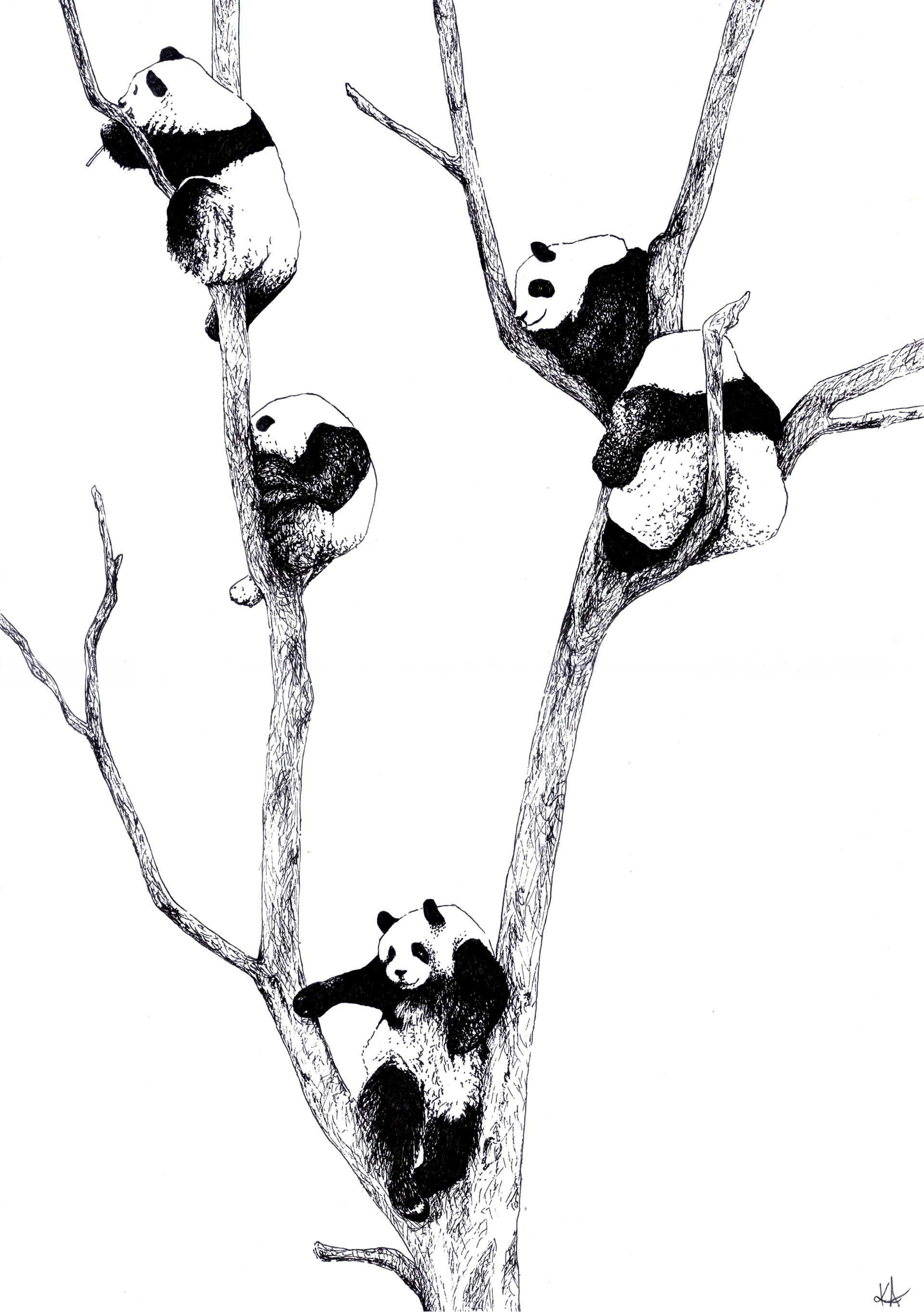 Realistic panda drawing sketch hanging on the tree, Try it now.