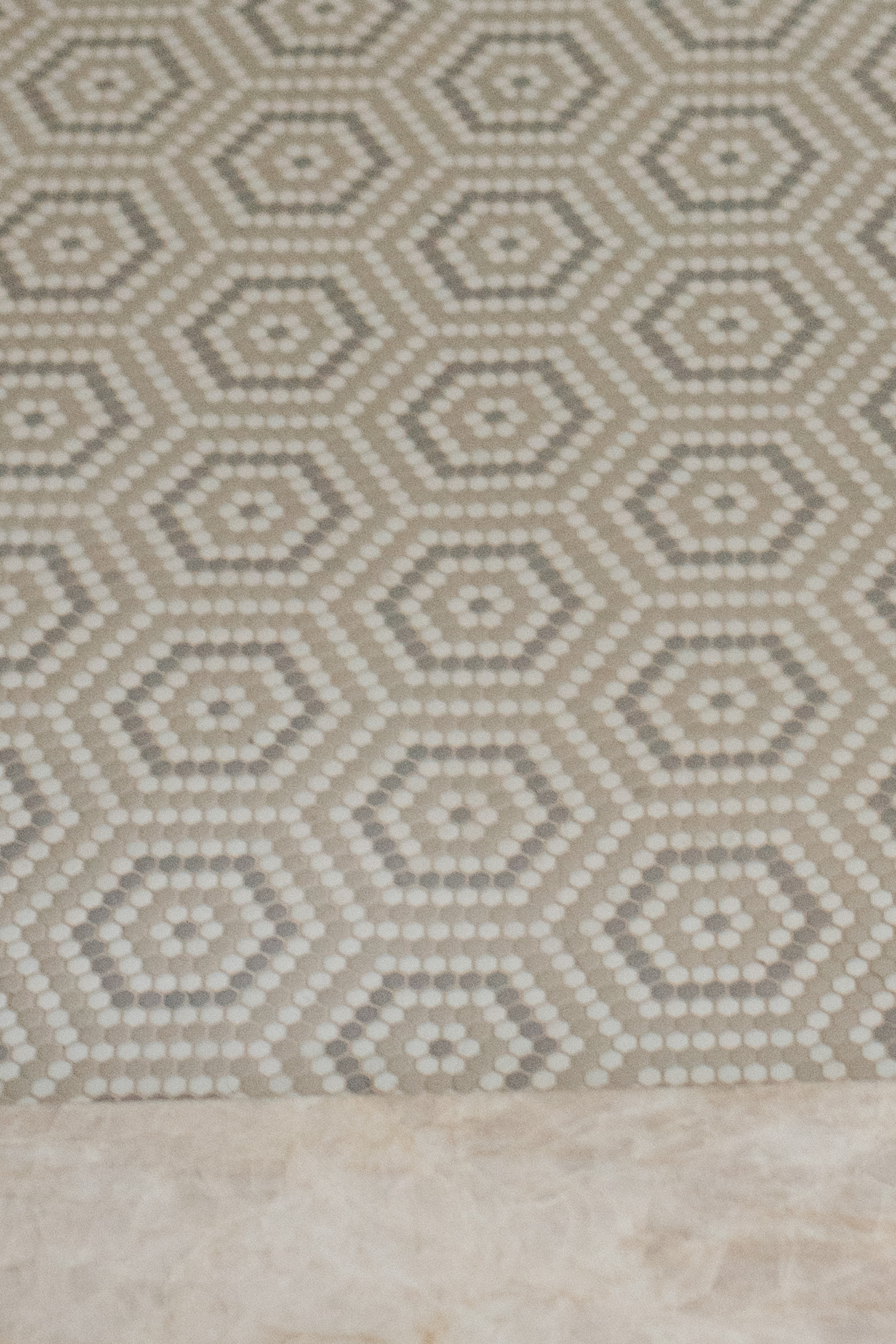 Project Coastal Living