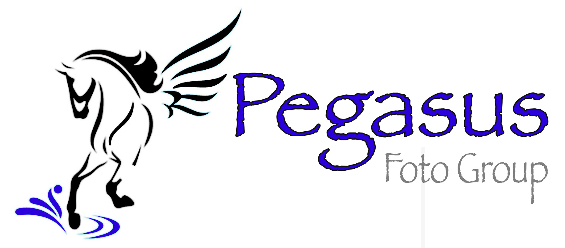 Pegasus Foto Group, (972) 926-3861, Professional Photography