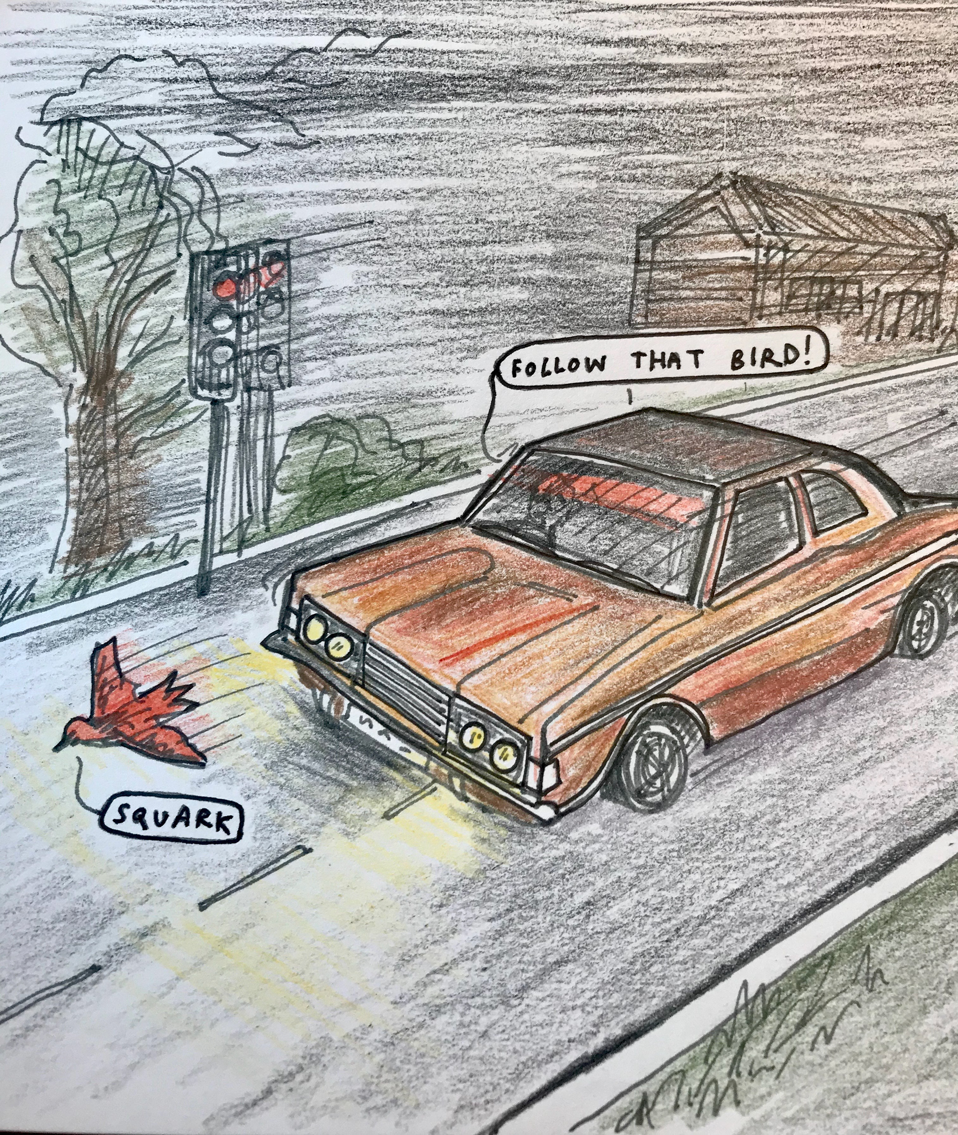 COloured pencil drawing from Sketchbook 