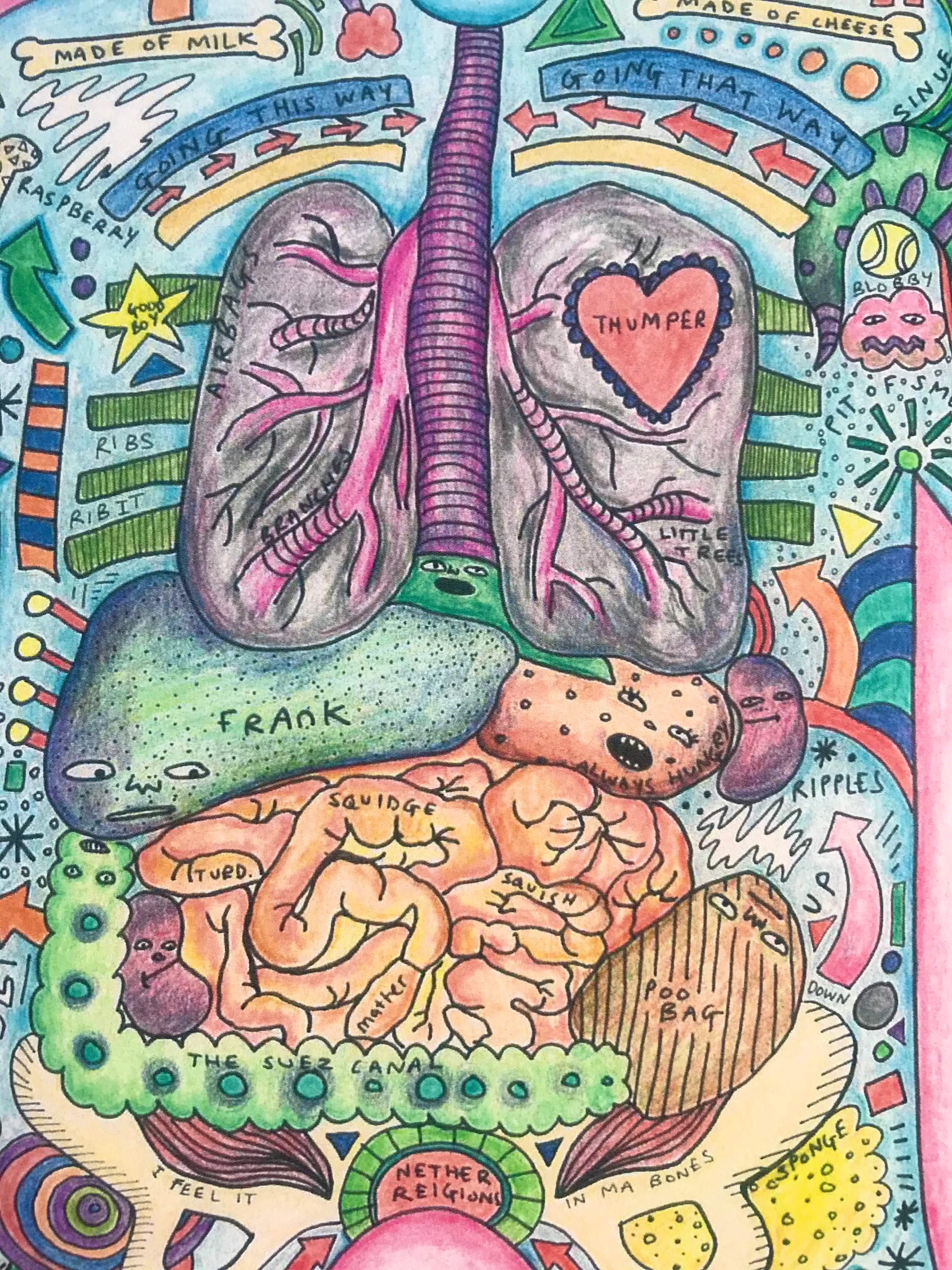 details of coloured pencil drawing - A3