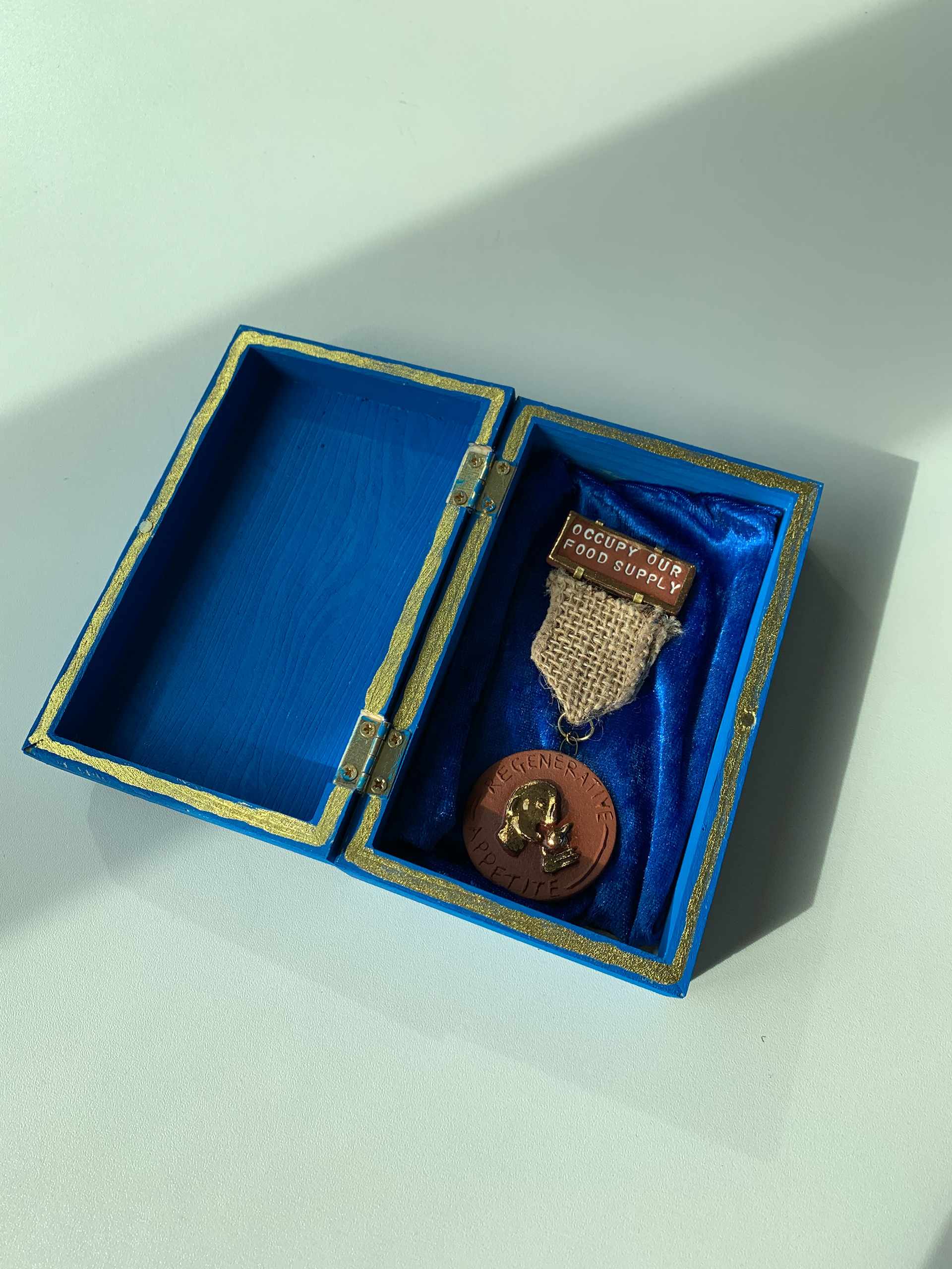 a mock up of what i would want to present the medals in