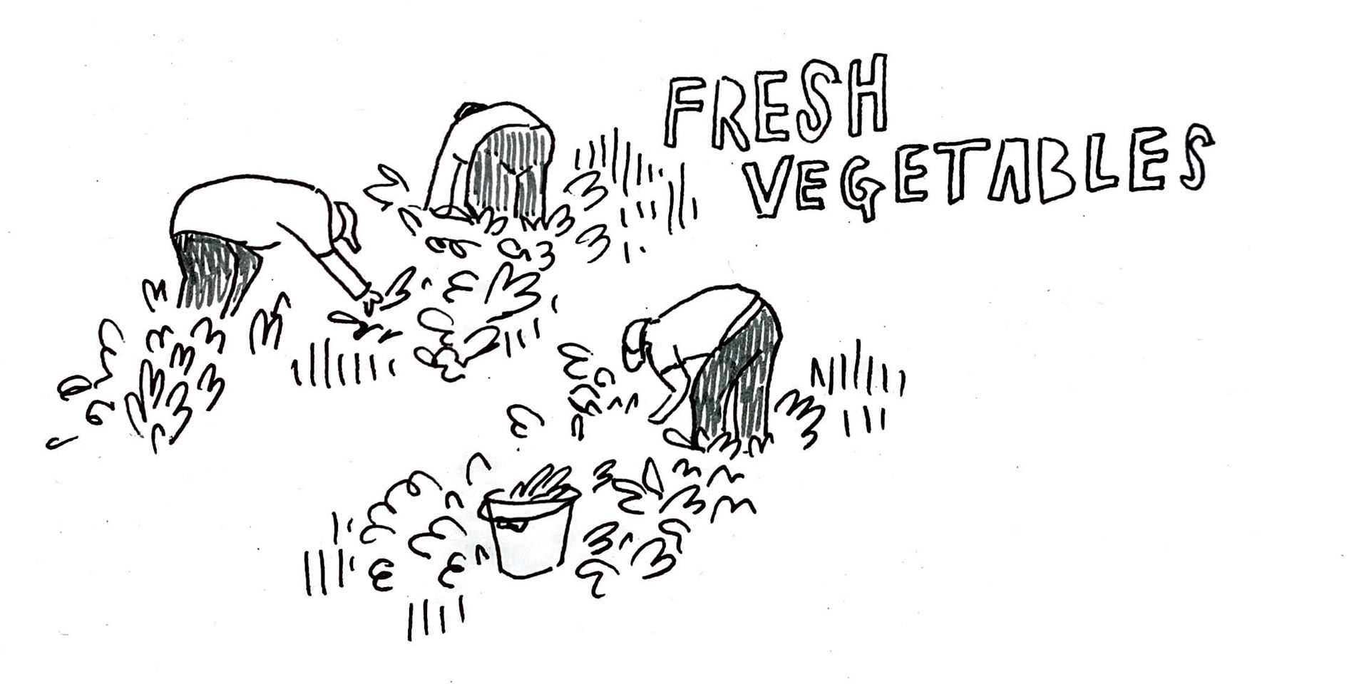 the posture of the people that work on vegetable farms is quite interesting