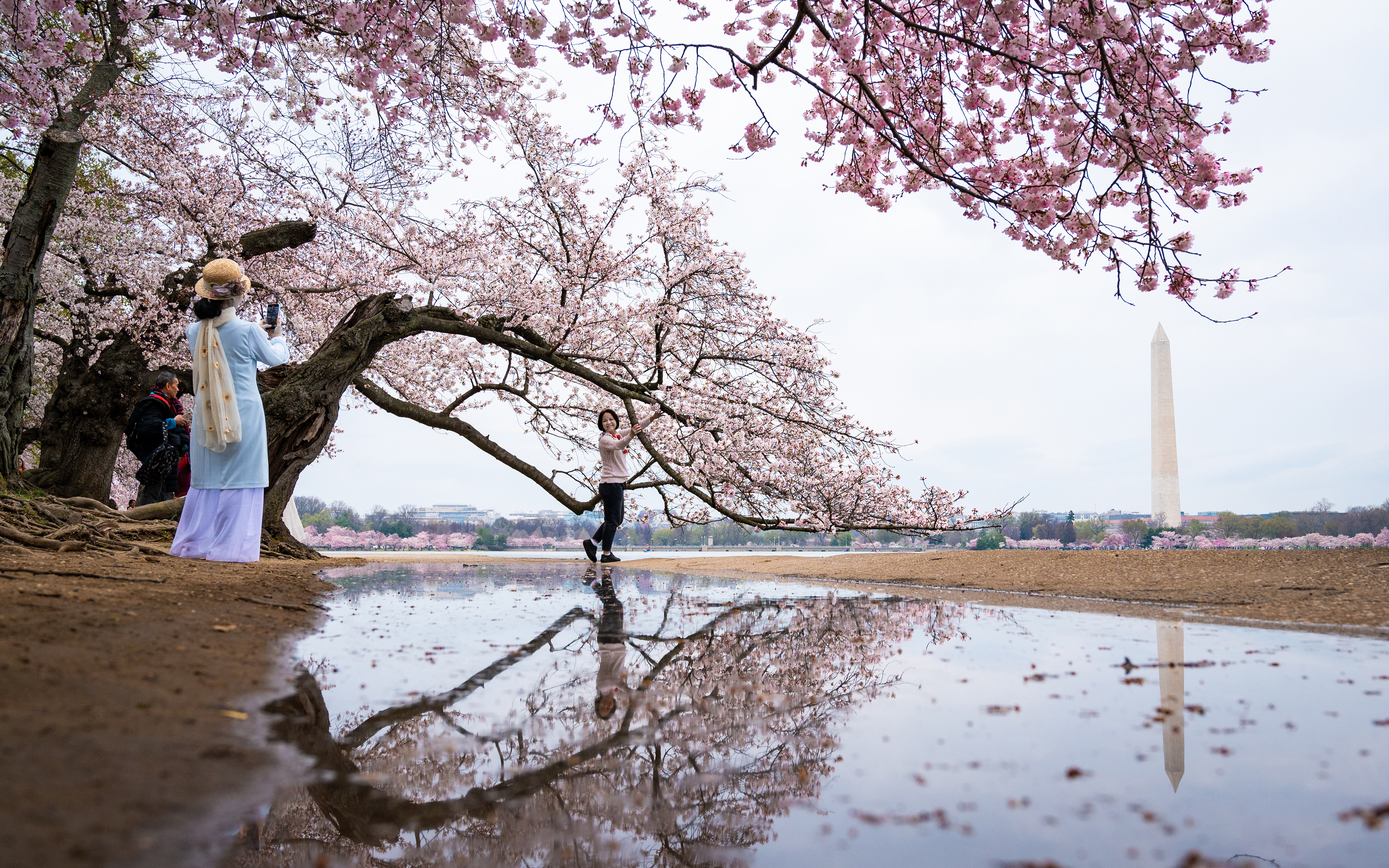 Tidal Basin | Washington DC