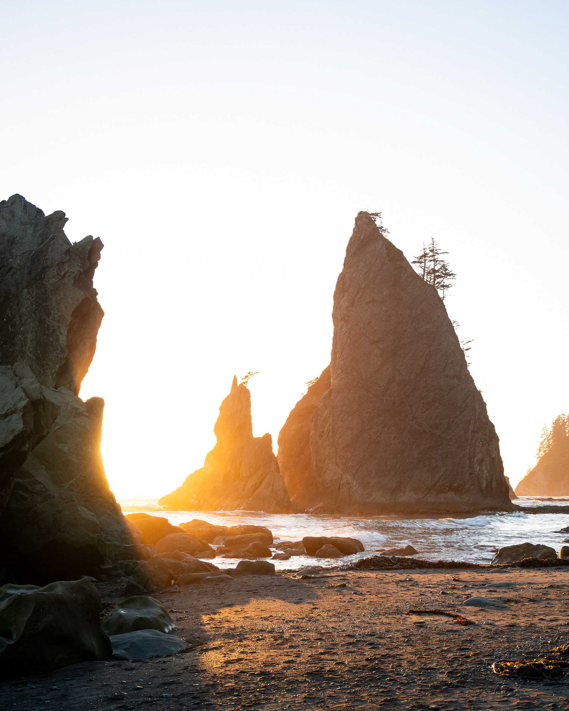 Rialto Beach | Olympic National Park, WA