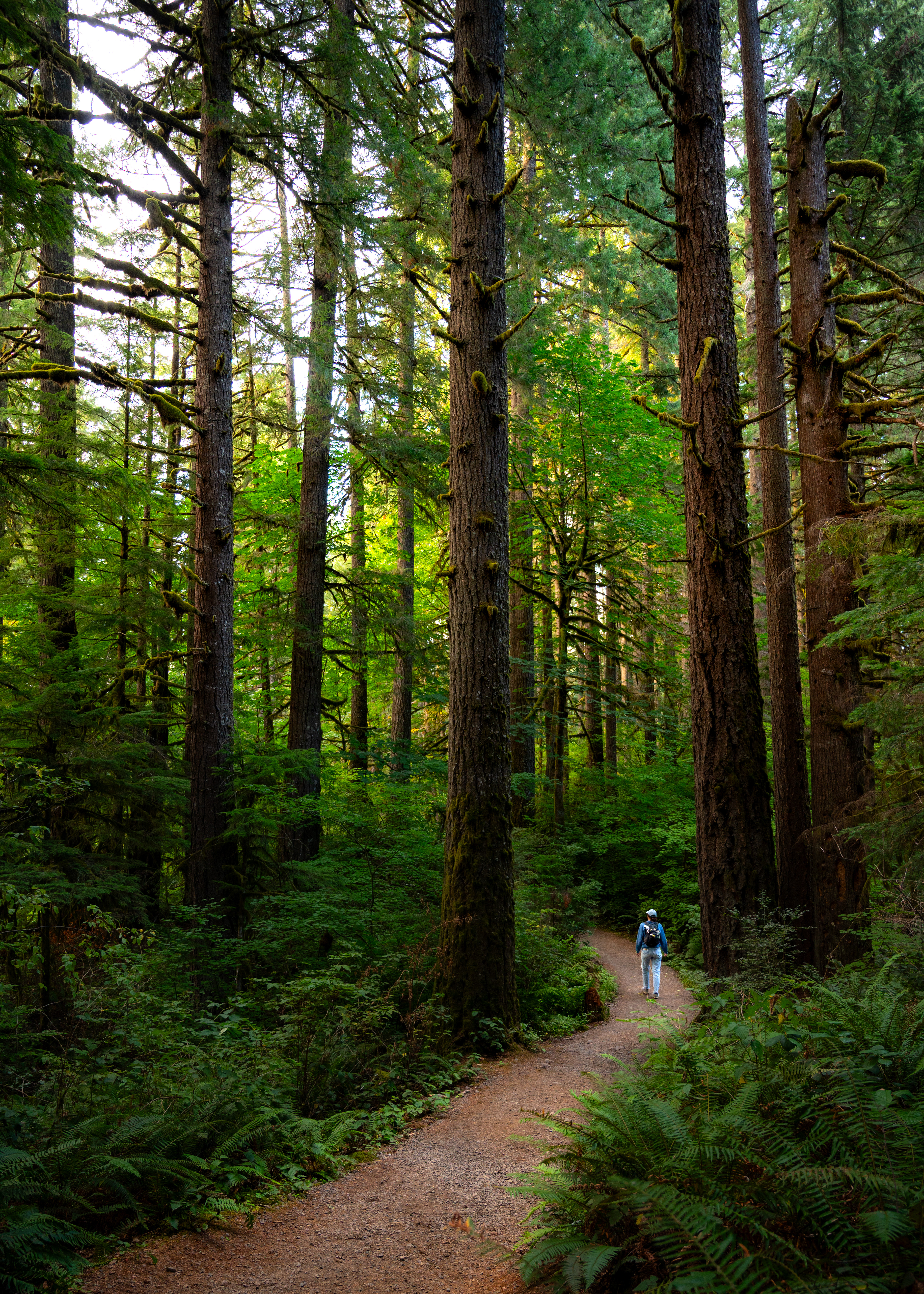 Silver Falls State Park, OR