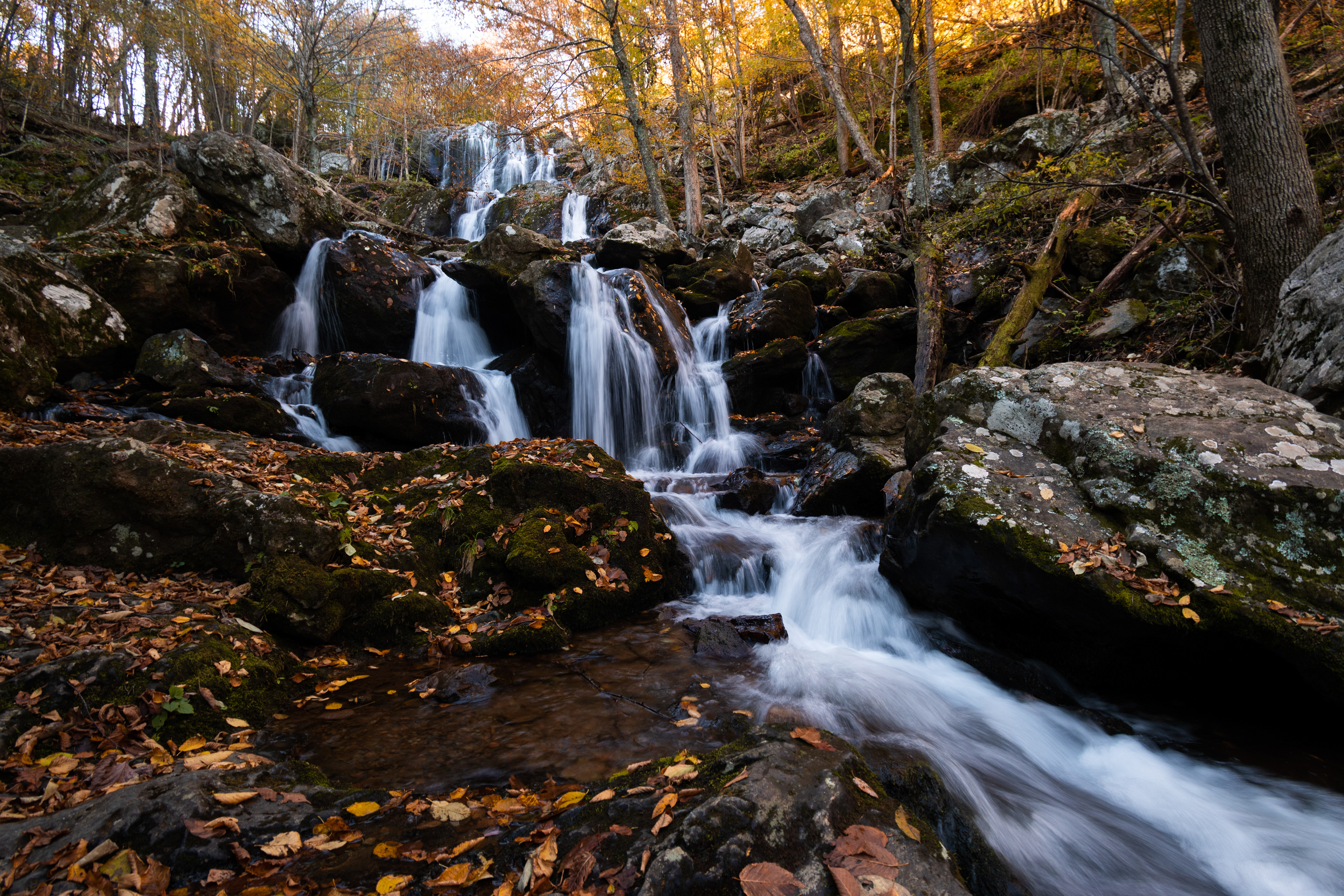 Dark Hollow Falls | Shenandoah National Park, VA