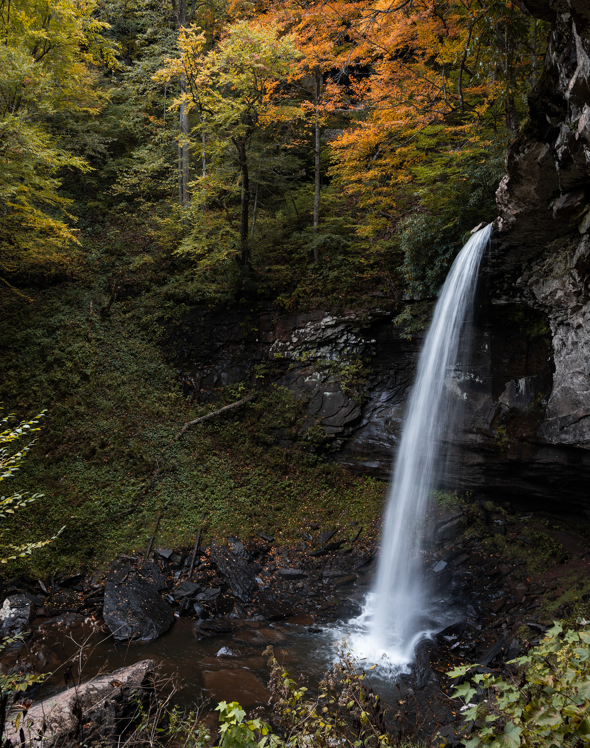 Falls of Hills Creek | Monongahela National Forest, WV