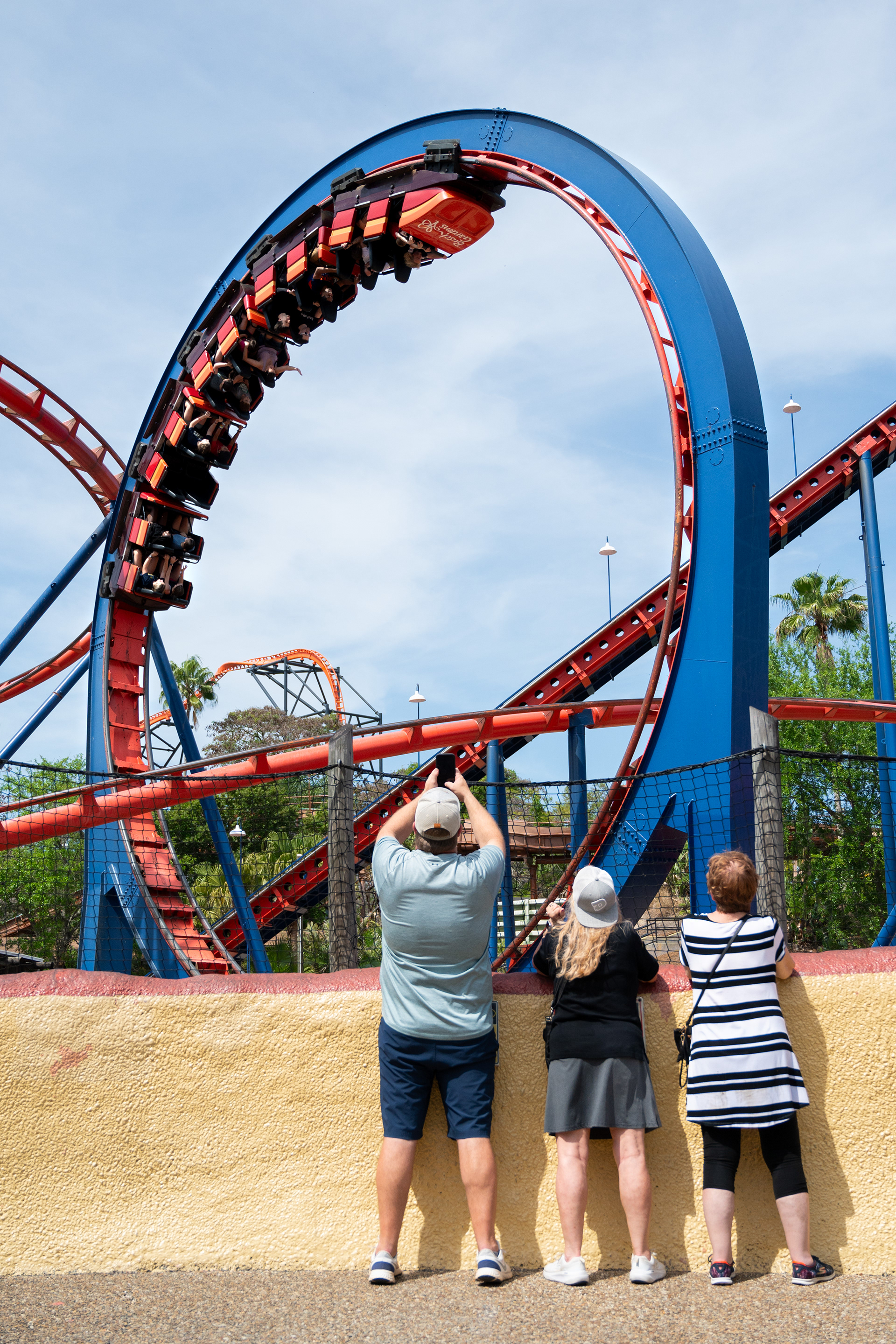 Busch Gardens Tampa | Tampa, FL