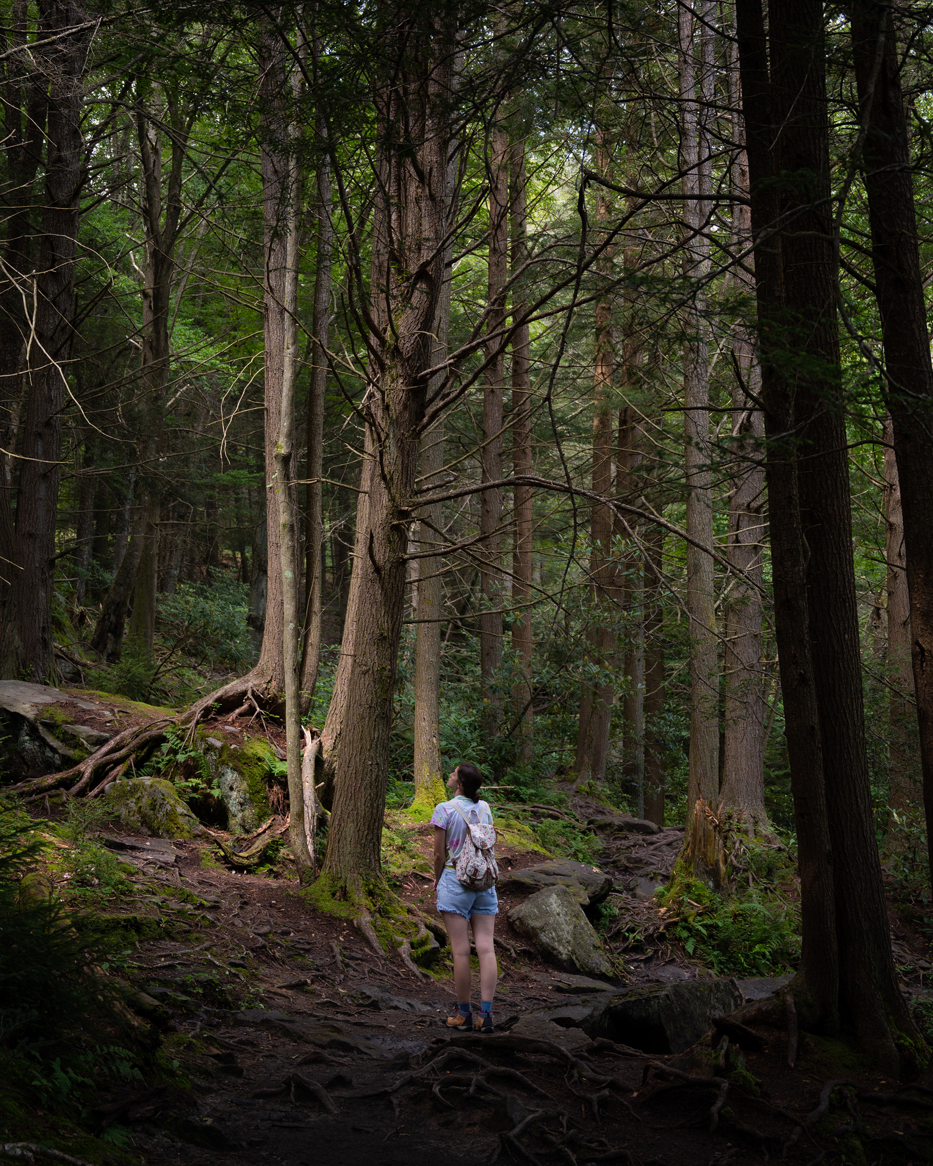 Blackwater Falls State Park, WV