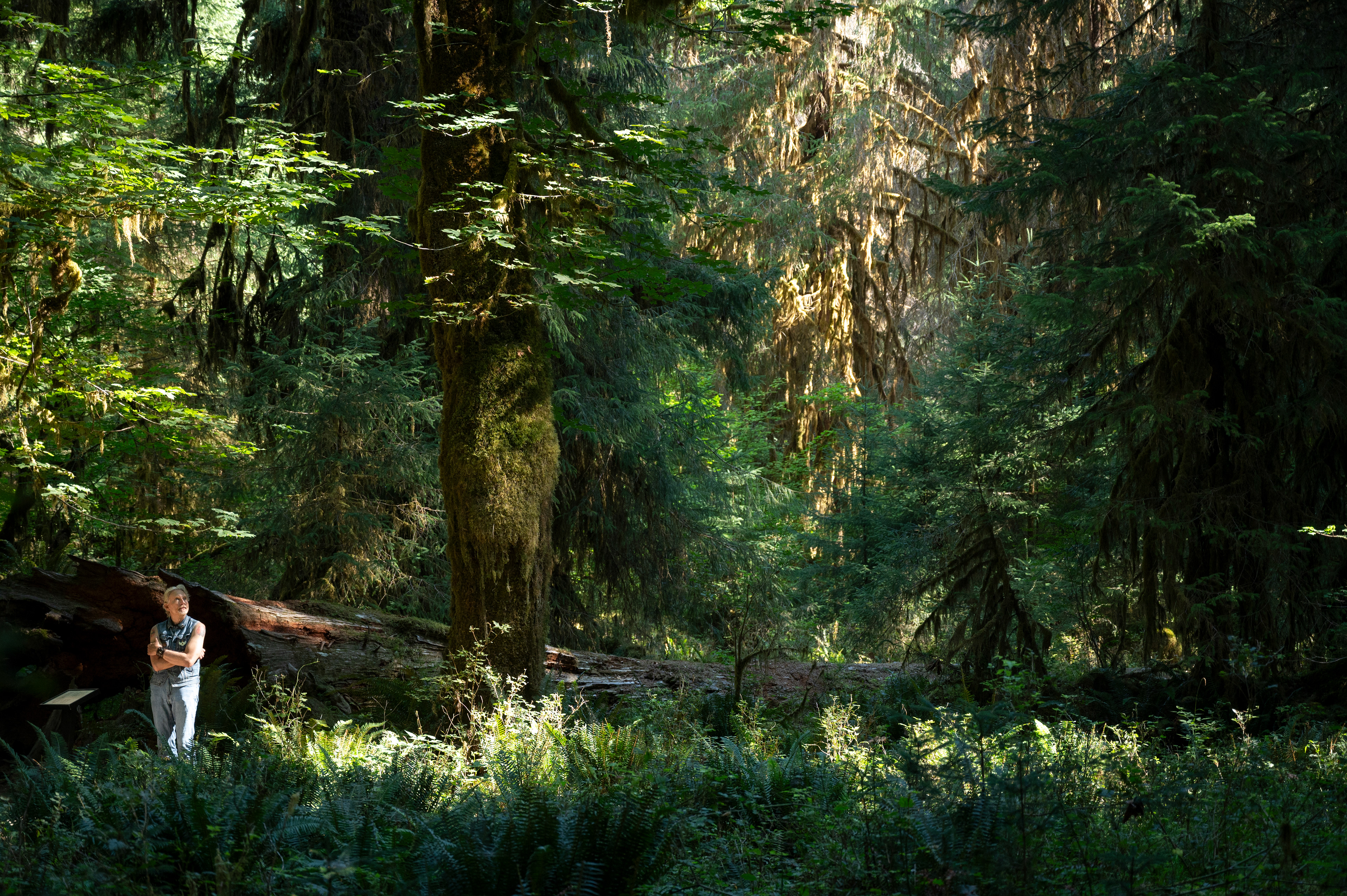 Hall of Mosses | Olympic National Park, WA