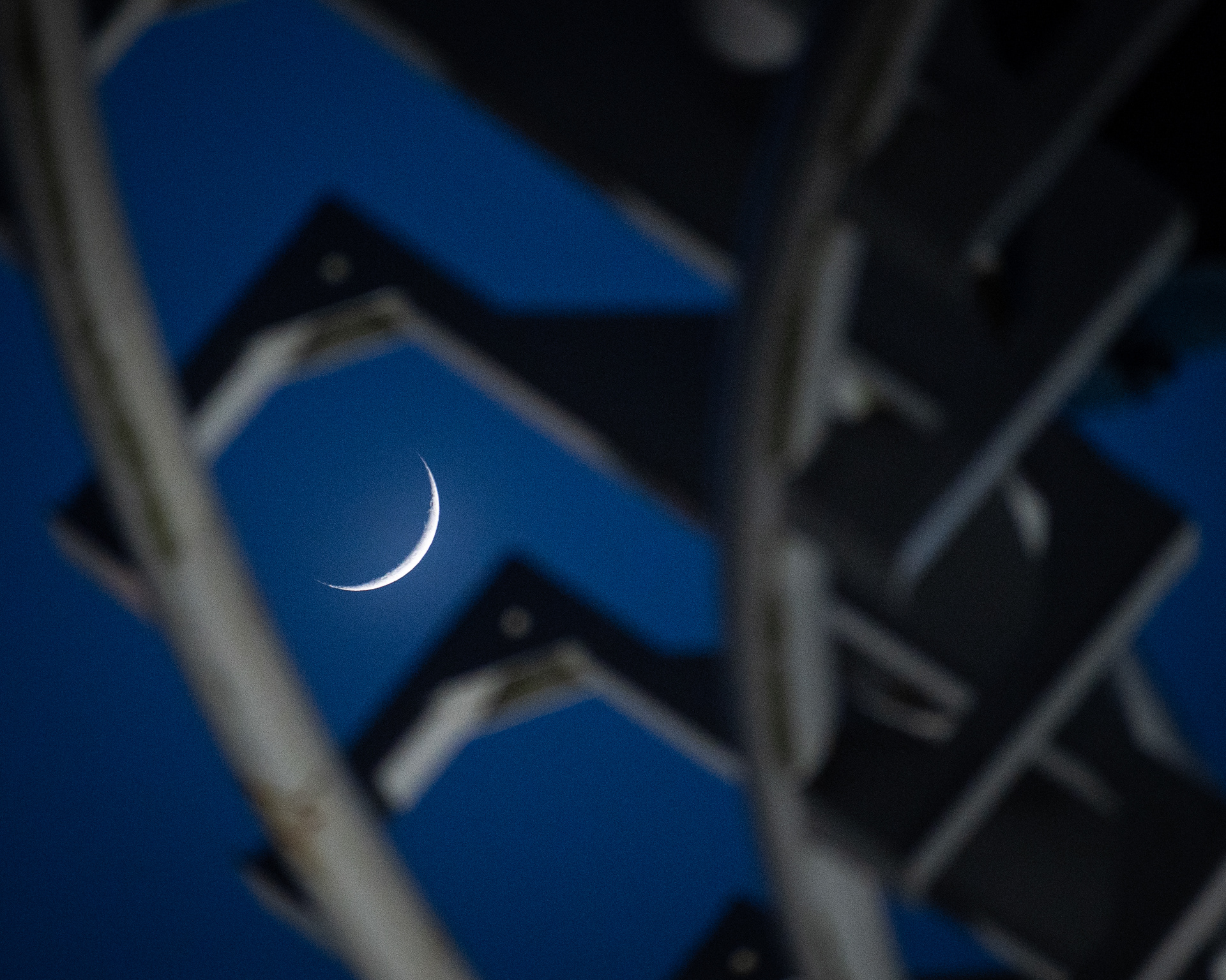 Morey's Piers | Wildwood, NJ