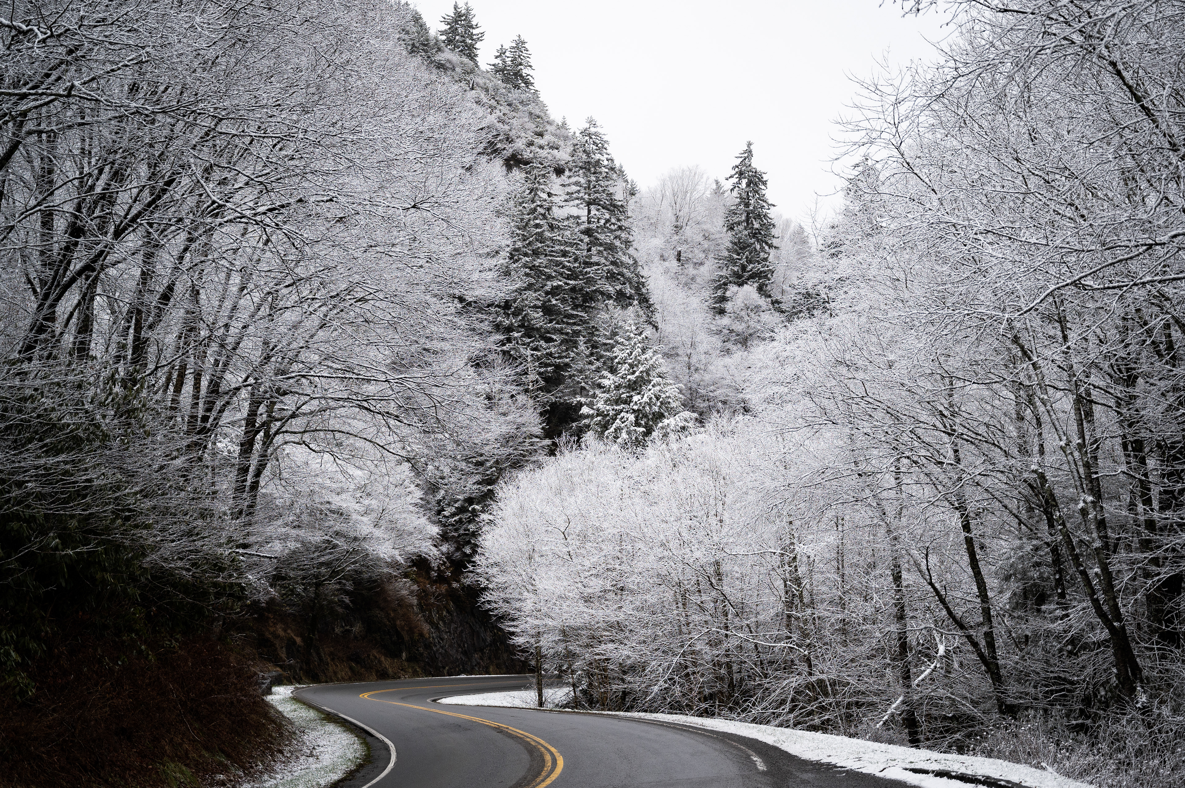 Newfound Gap Road | Great Smoky Mountains National Park, TN