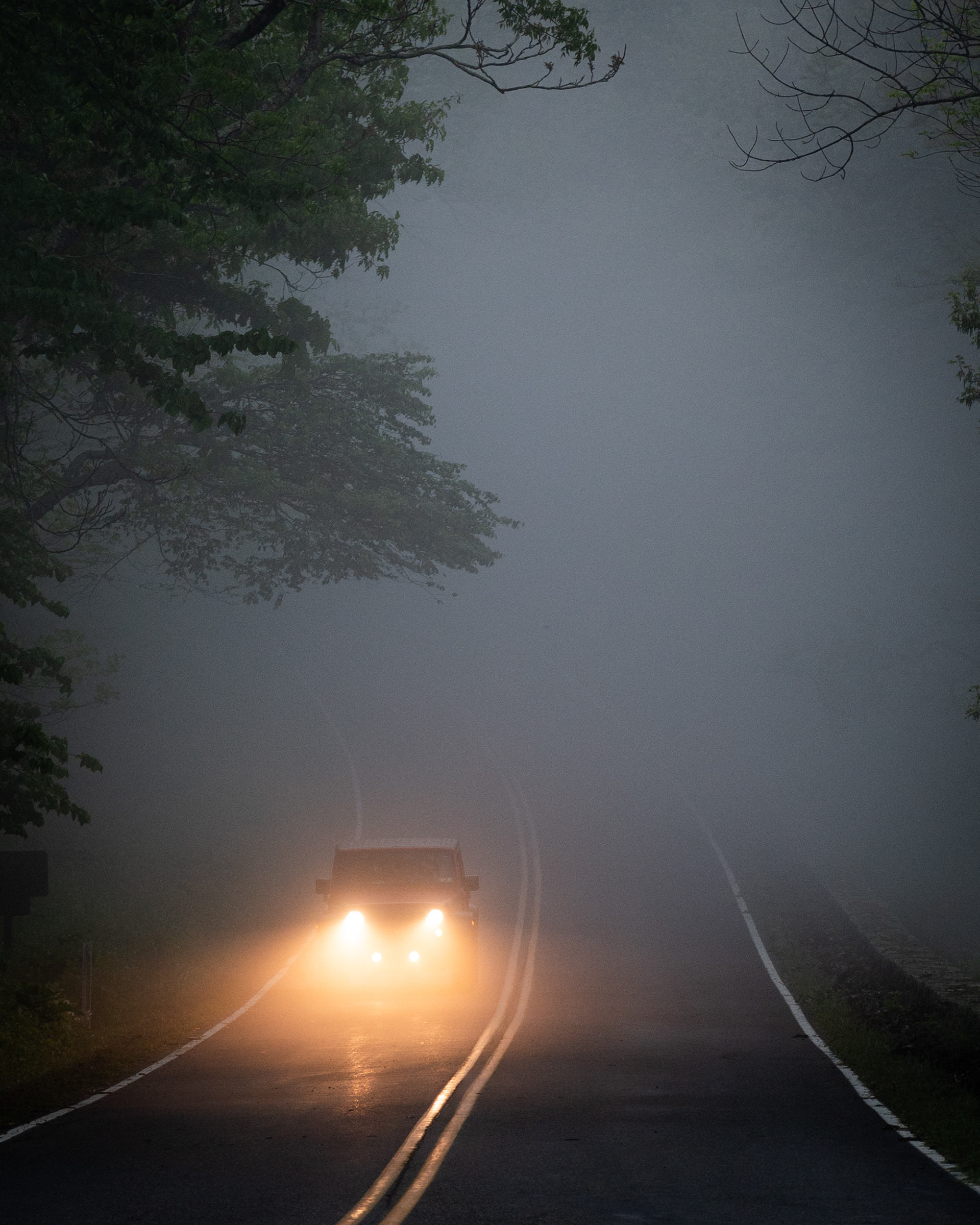 Skyline Drive | Shenandoah National Park, VA