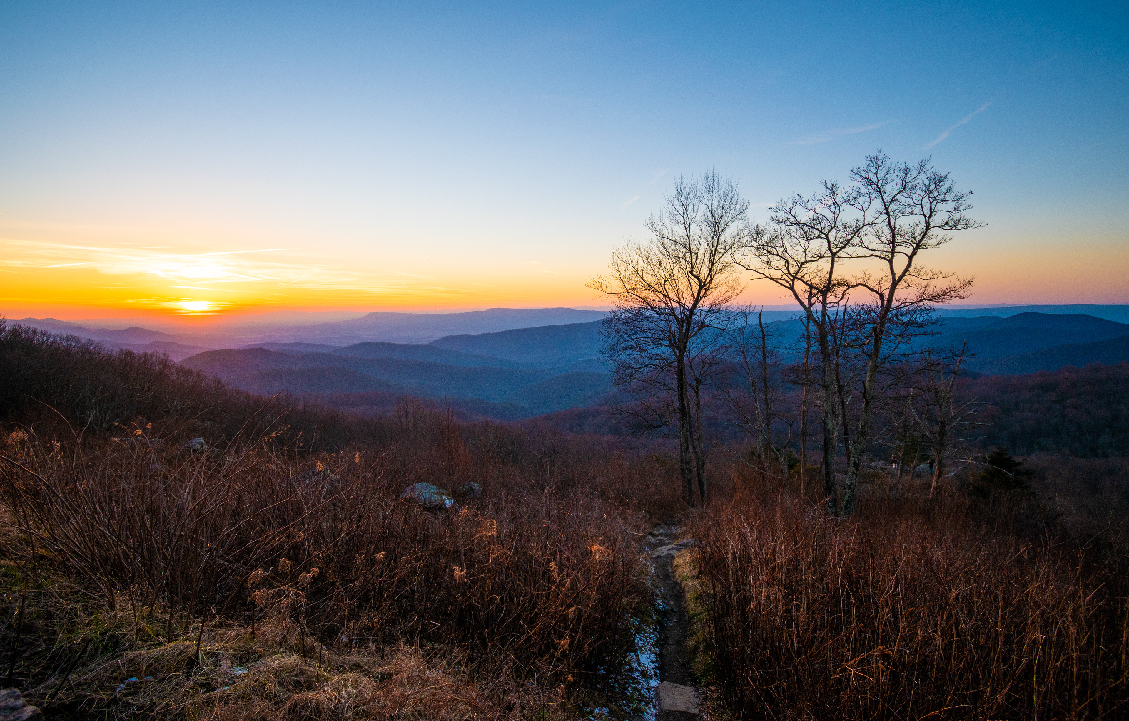 The Point Overlook | Shenandoah National Park, VA