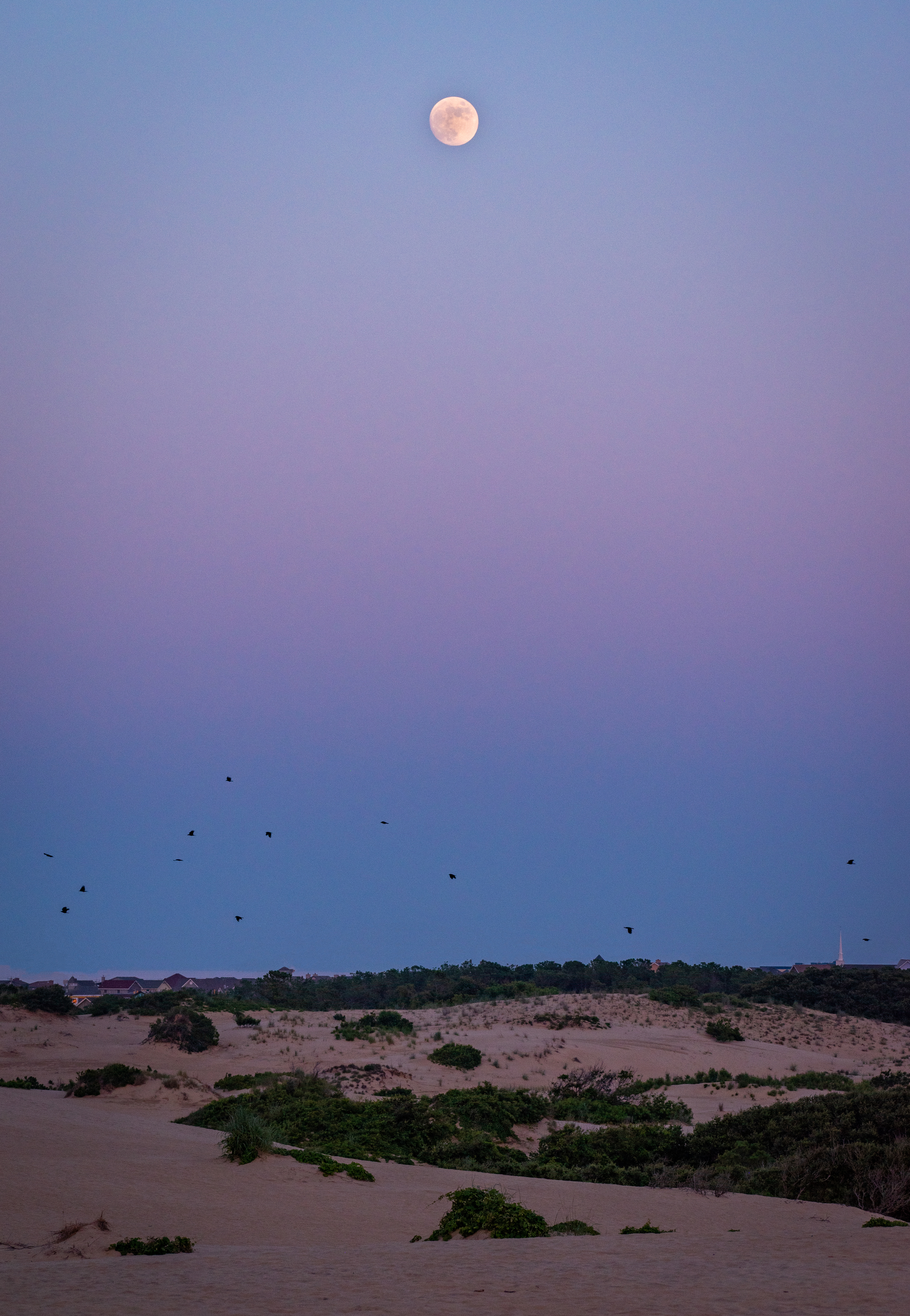 Jockey's Ridge State Park | Nags Head, NC