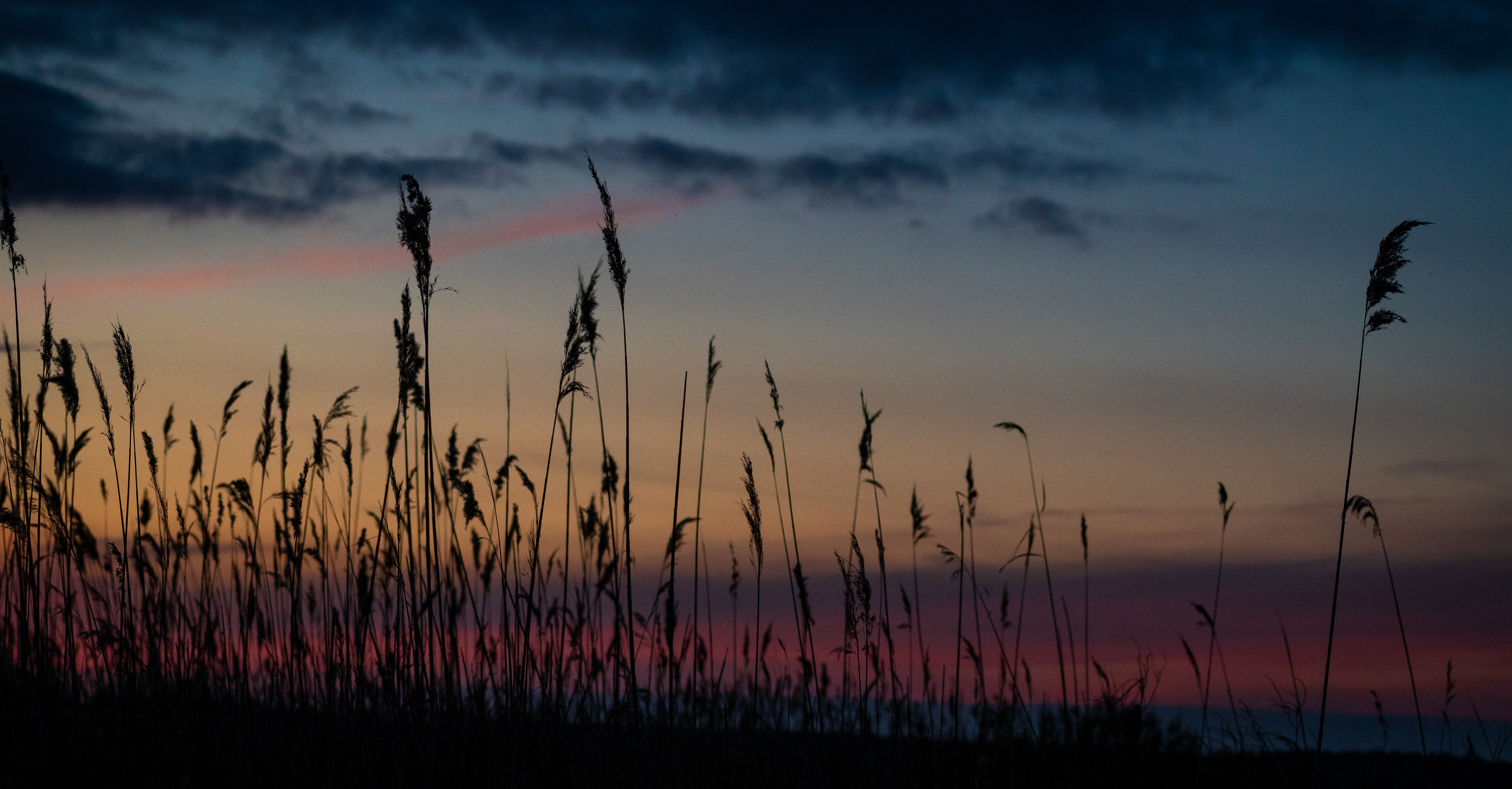 Heidi's Point | Poquoson, VA