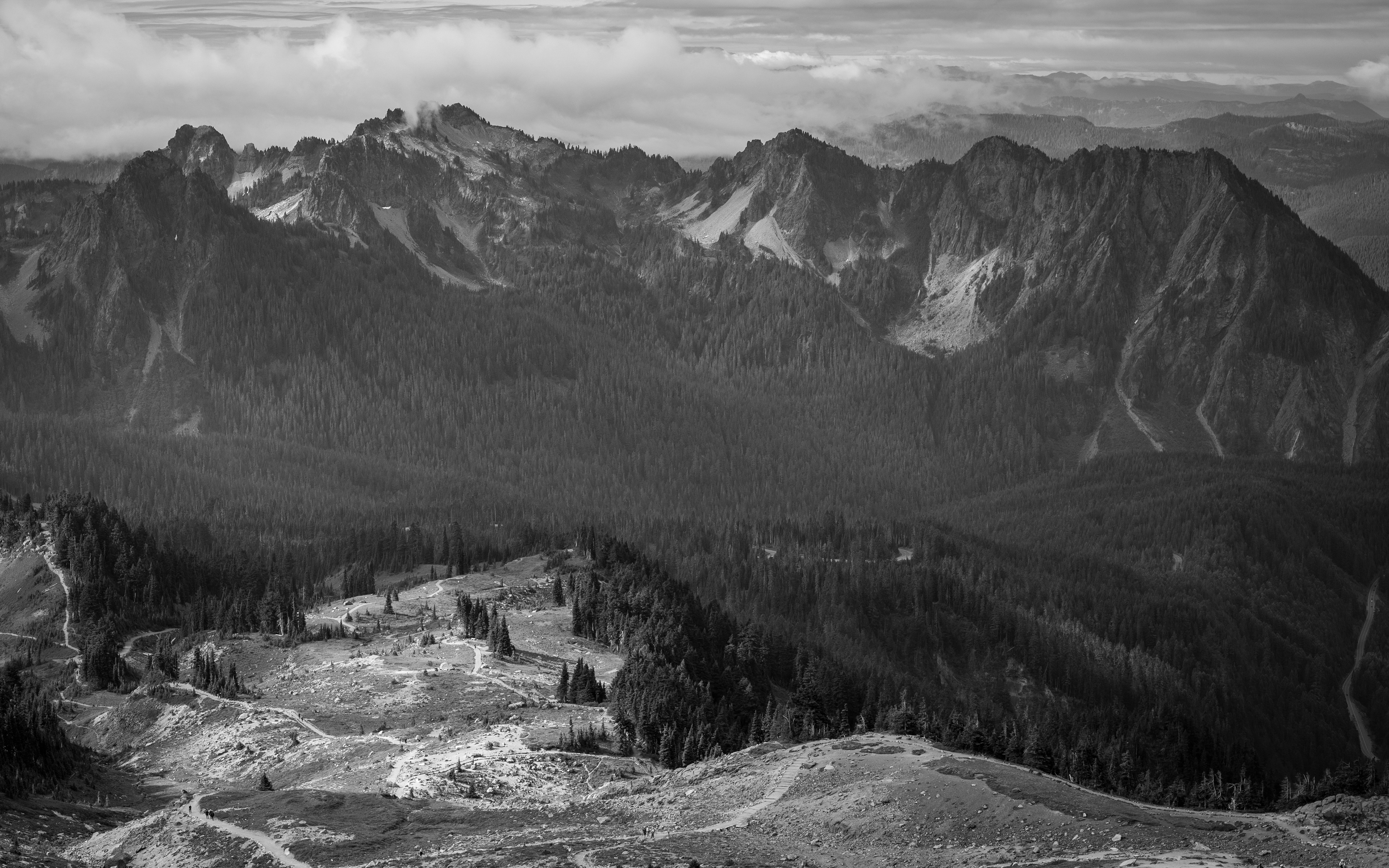Skyline Loop Trail | Mount Rainier National Park, WA