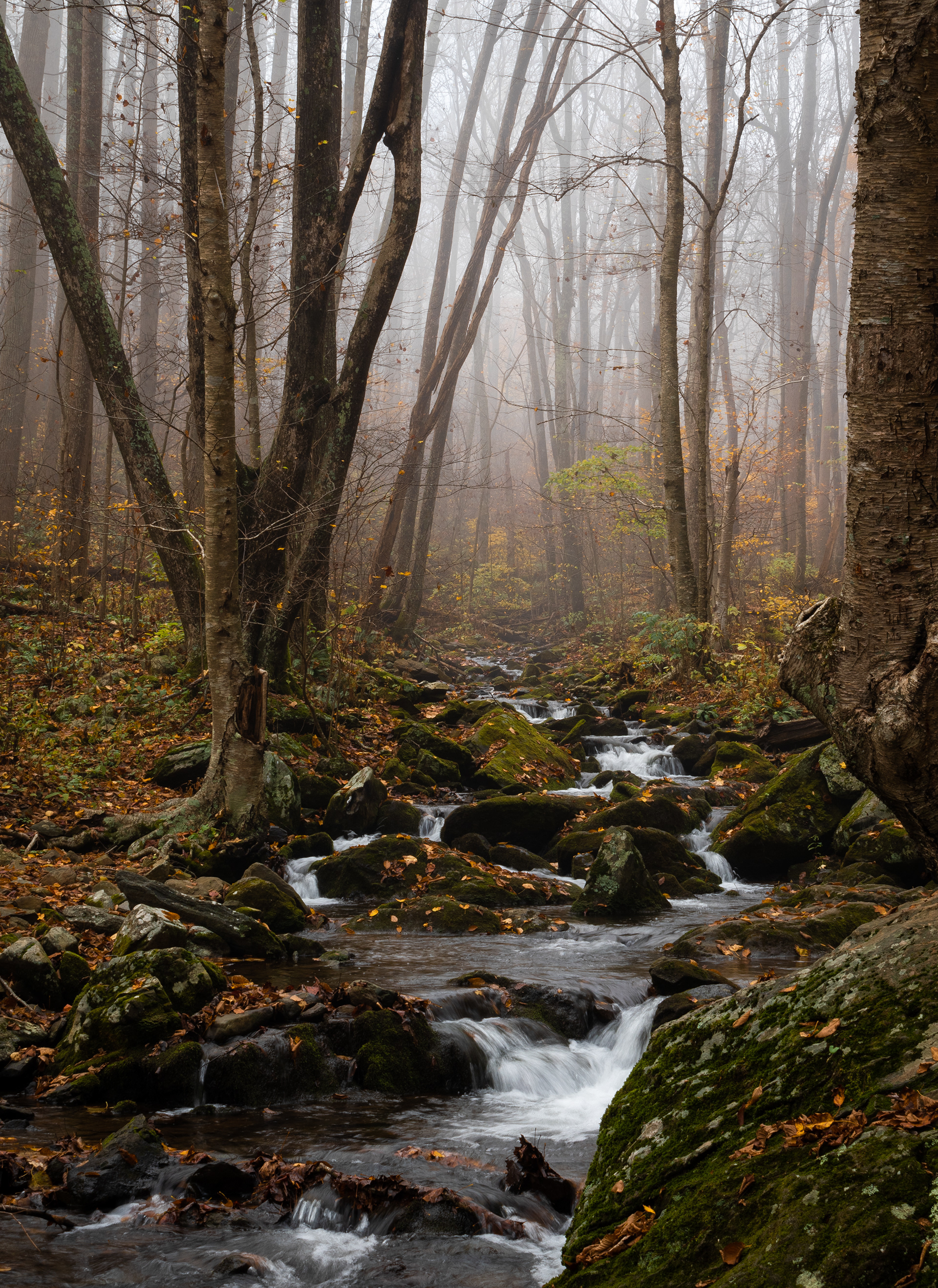South River Falls Trail | Shenandoah National Park, VA