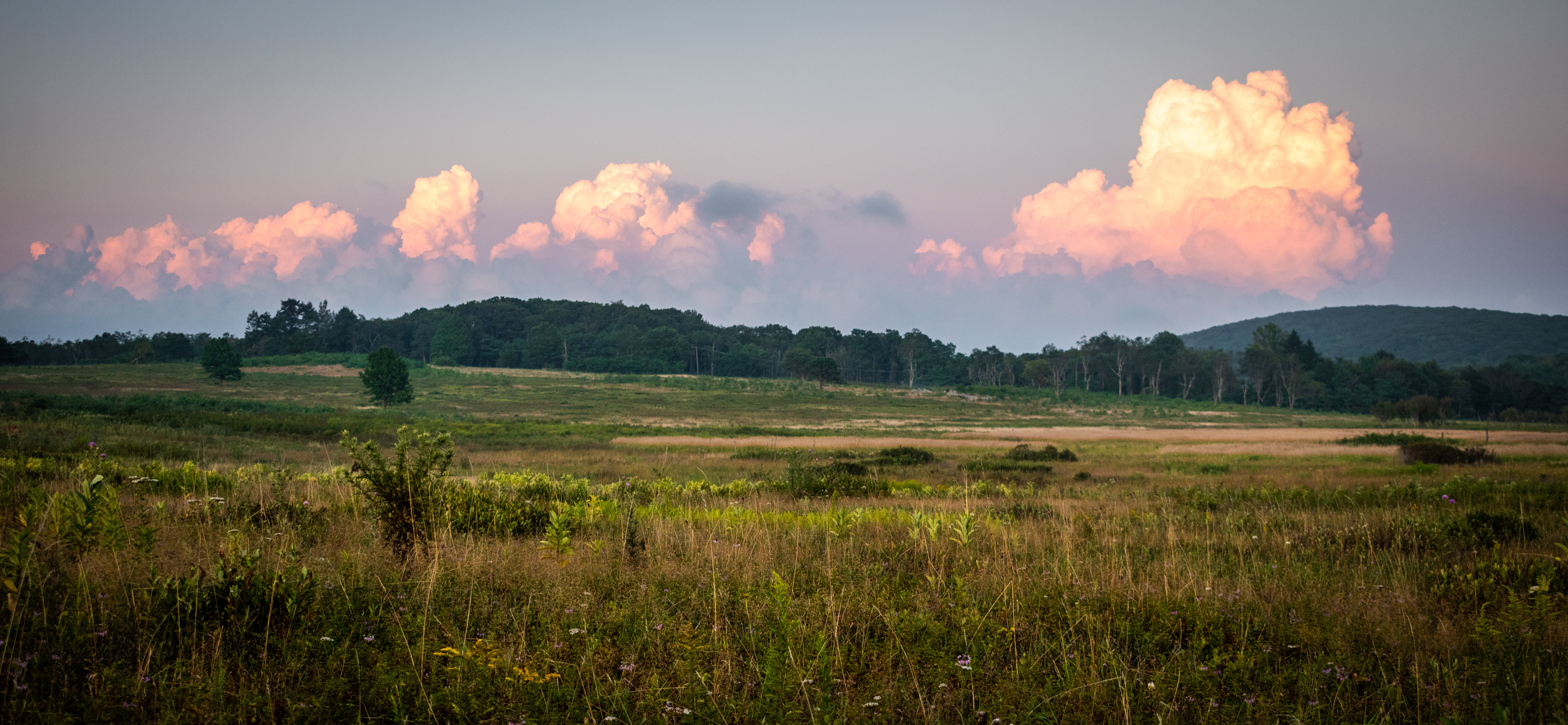 Big Meadows | Shenandoah National Park, VA