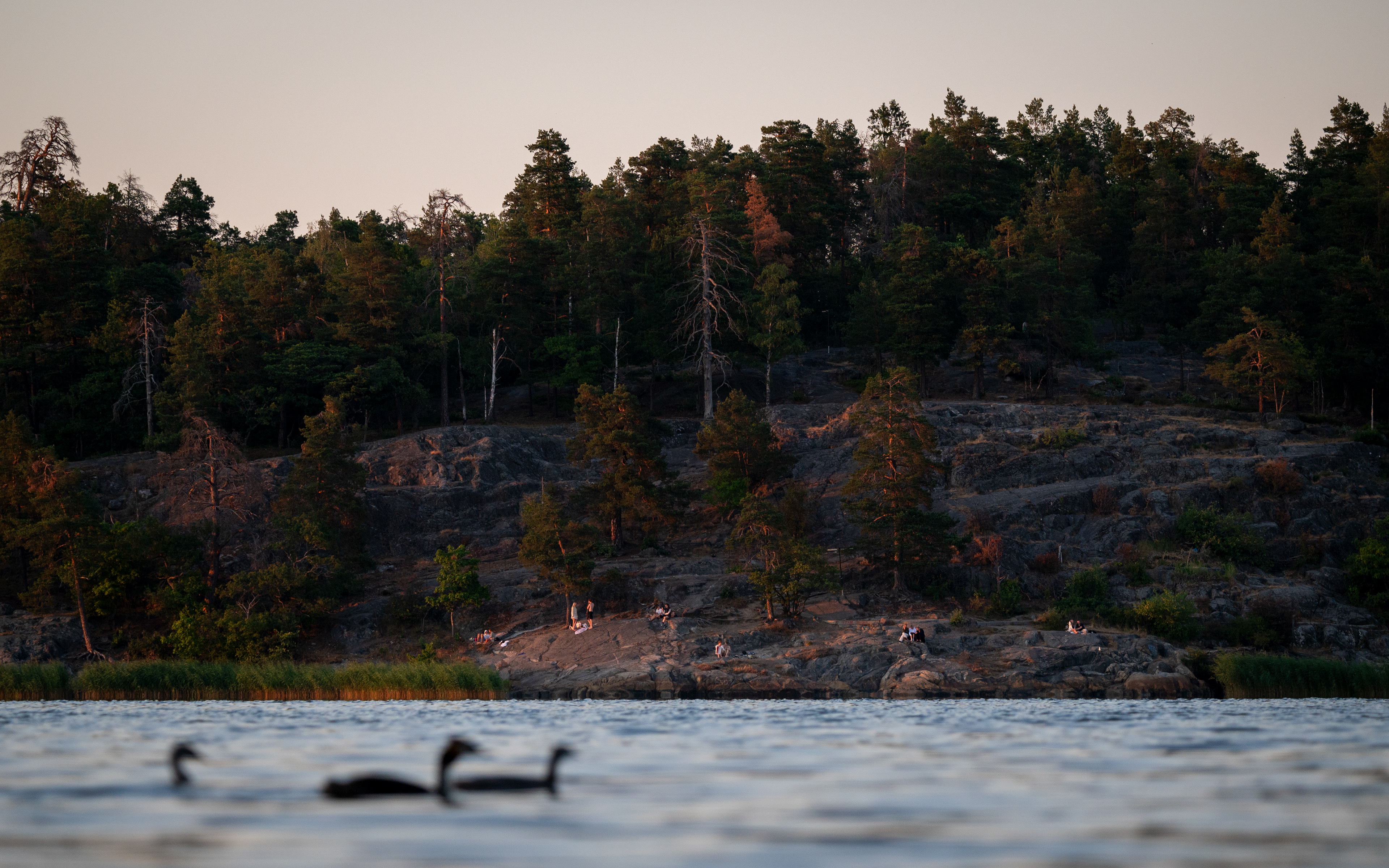 Brunnsviken | Stockholm, Sweden