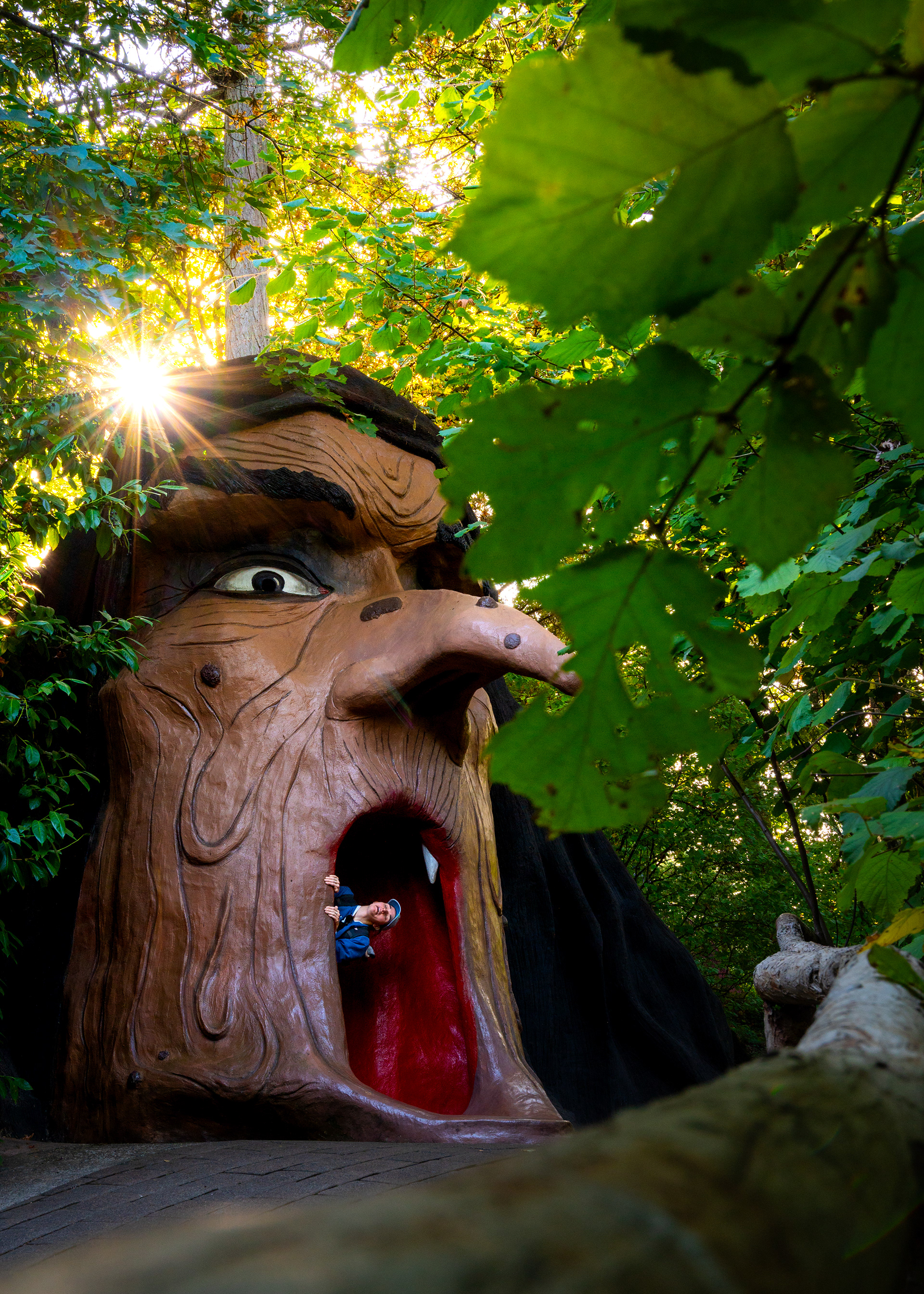 Enchanted Forest | Turner, OR