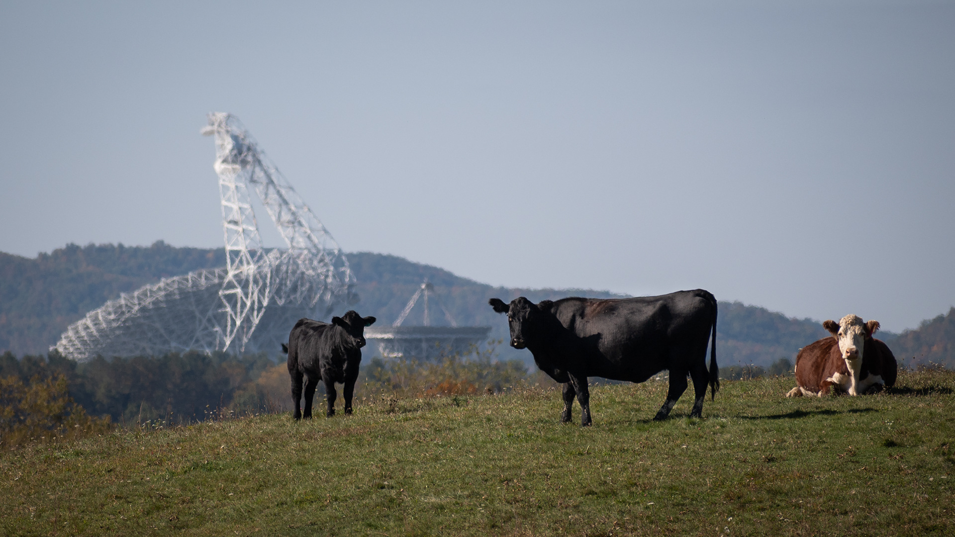 Green Bank Observatory | Green Bank, WV